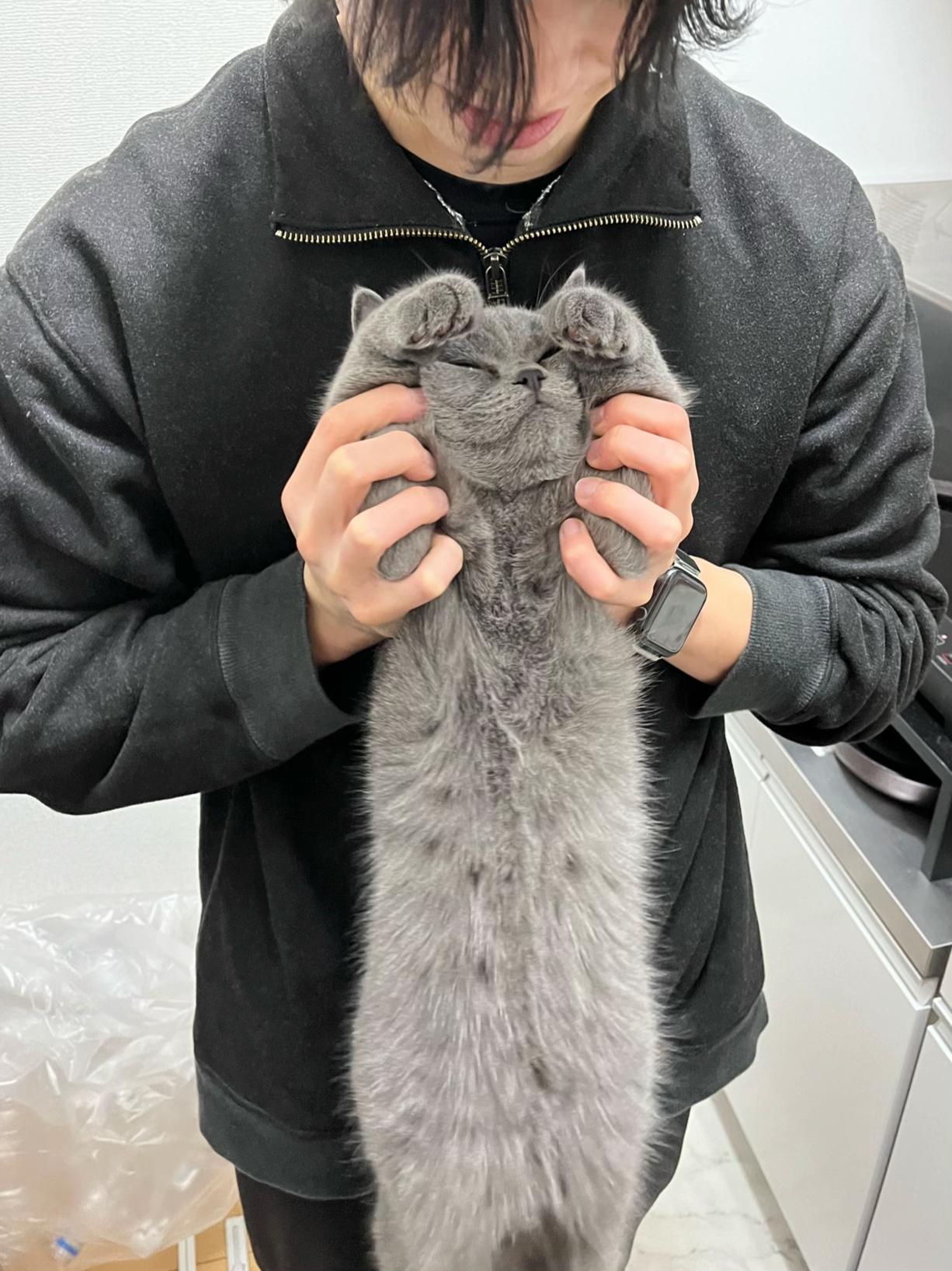 @オーツみるくらて
