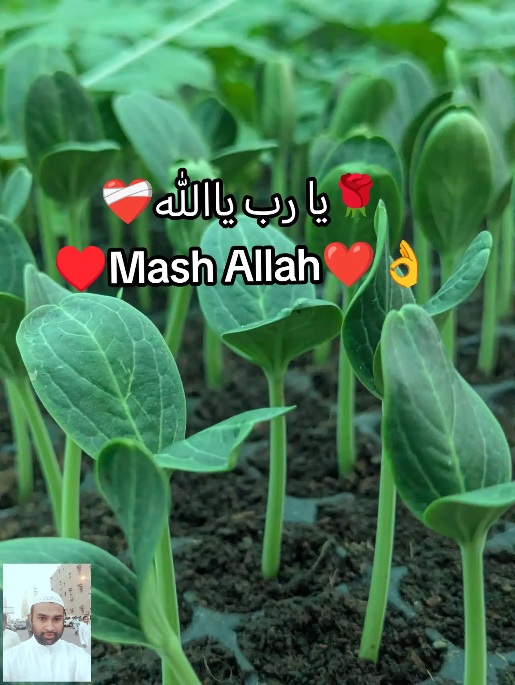 @đĩđ¸đ§đŠŲŲ
اŲ♥ī¸Kamal Ali â