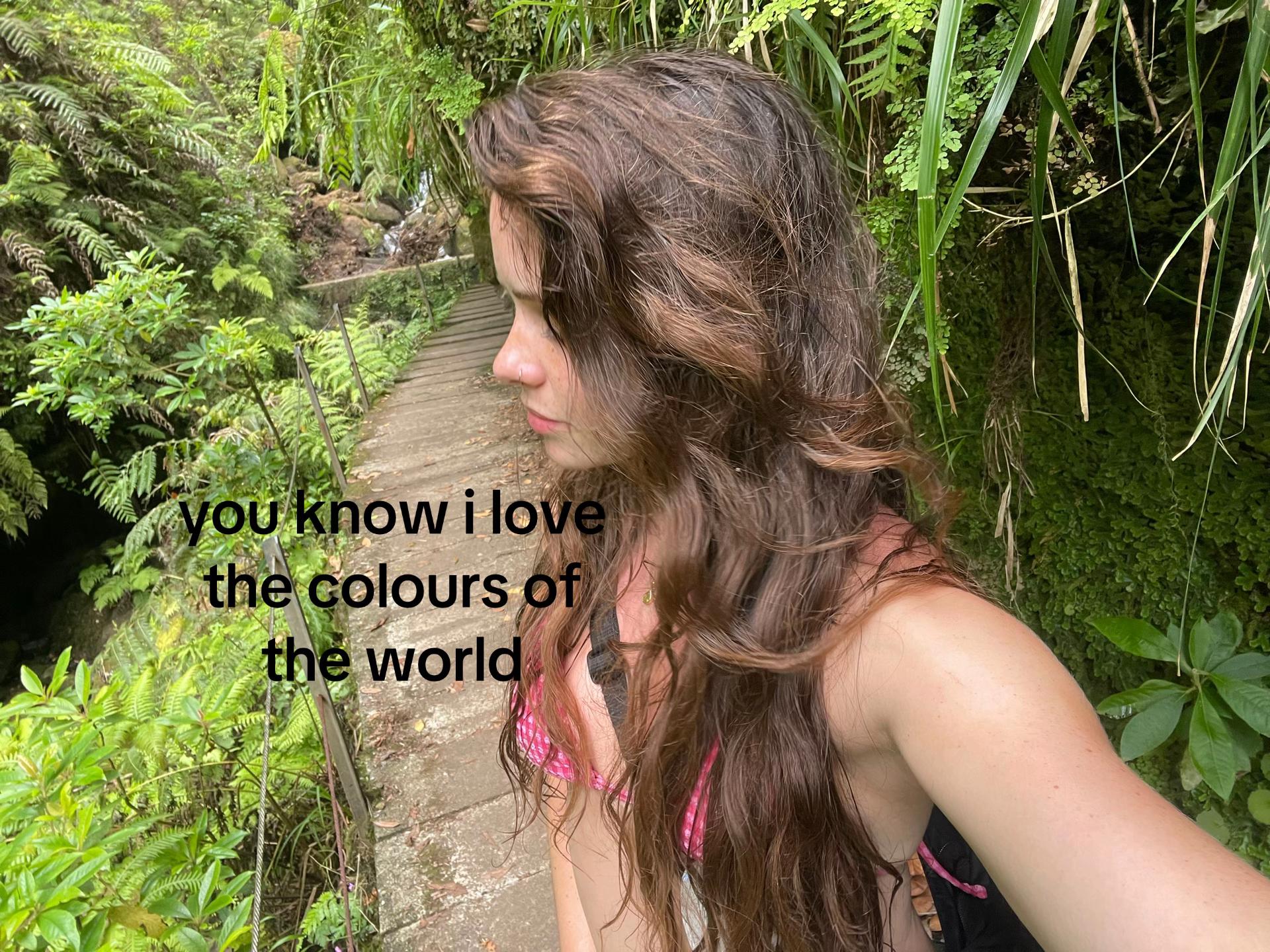 @lauren
