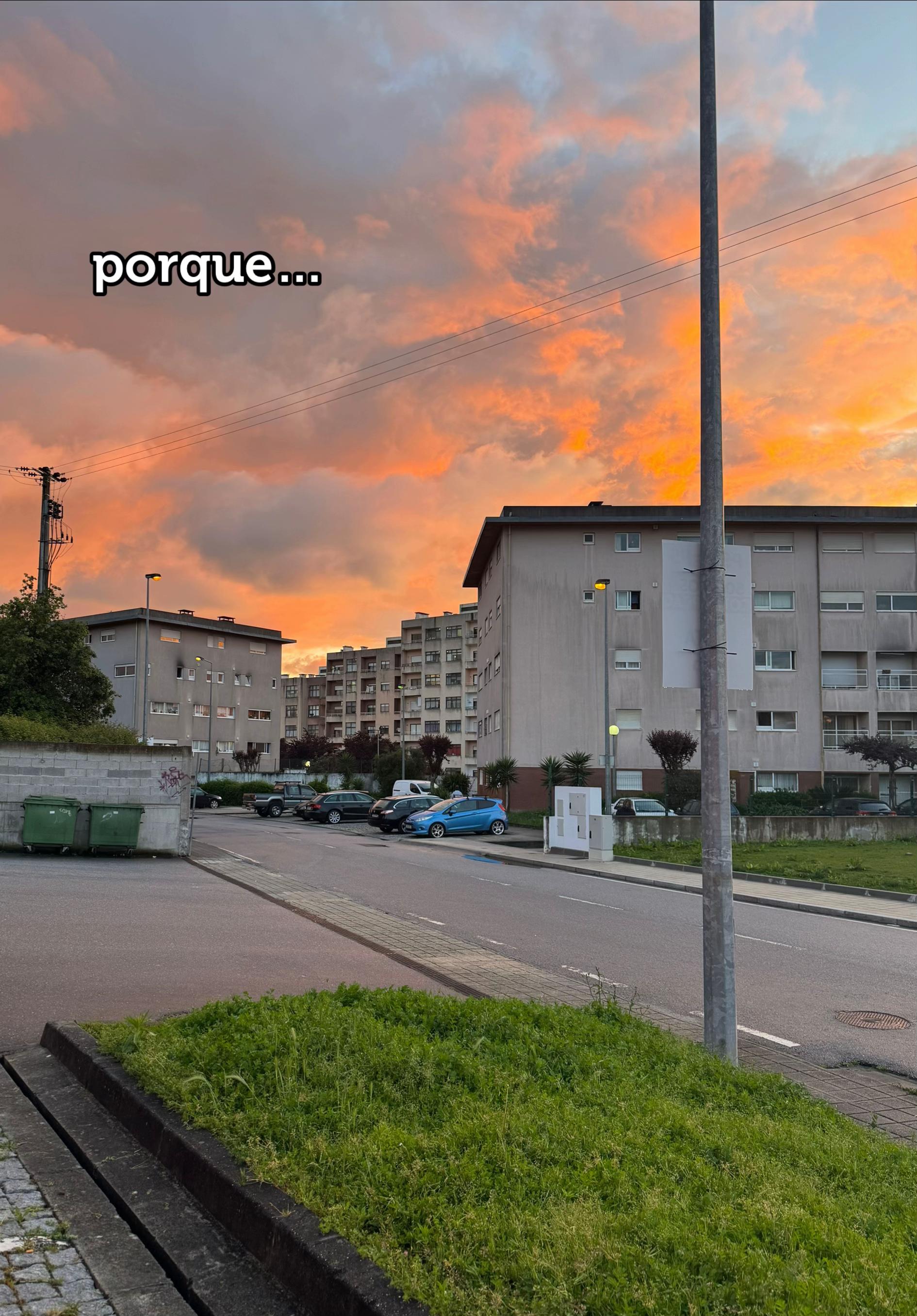 @Lipe Cardoso