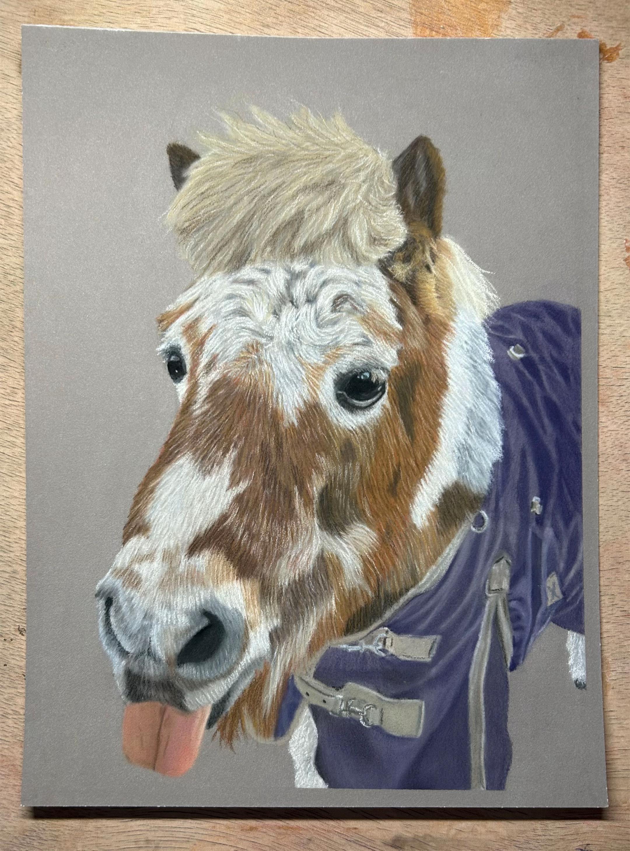 @Pet portraits