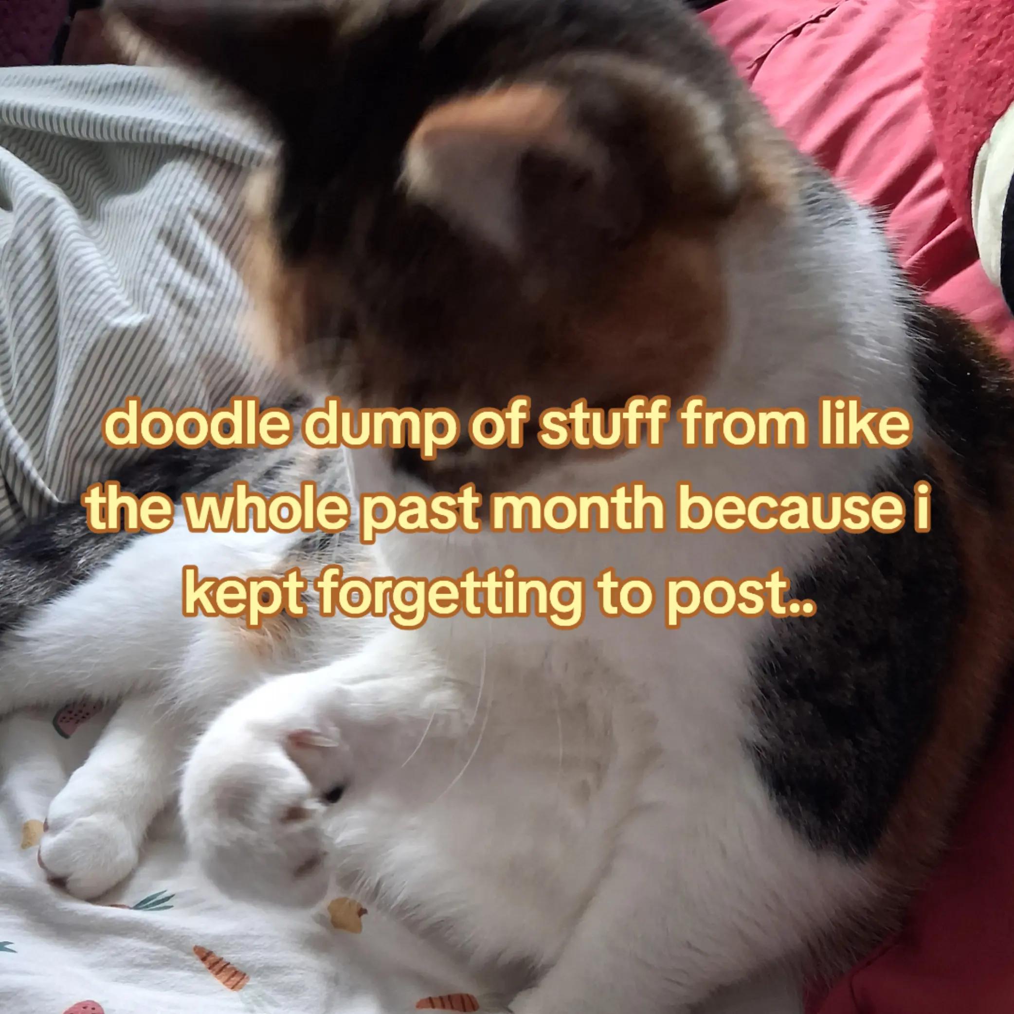 @Dimitri ๐๐ชฝ