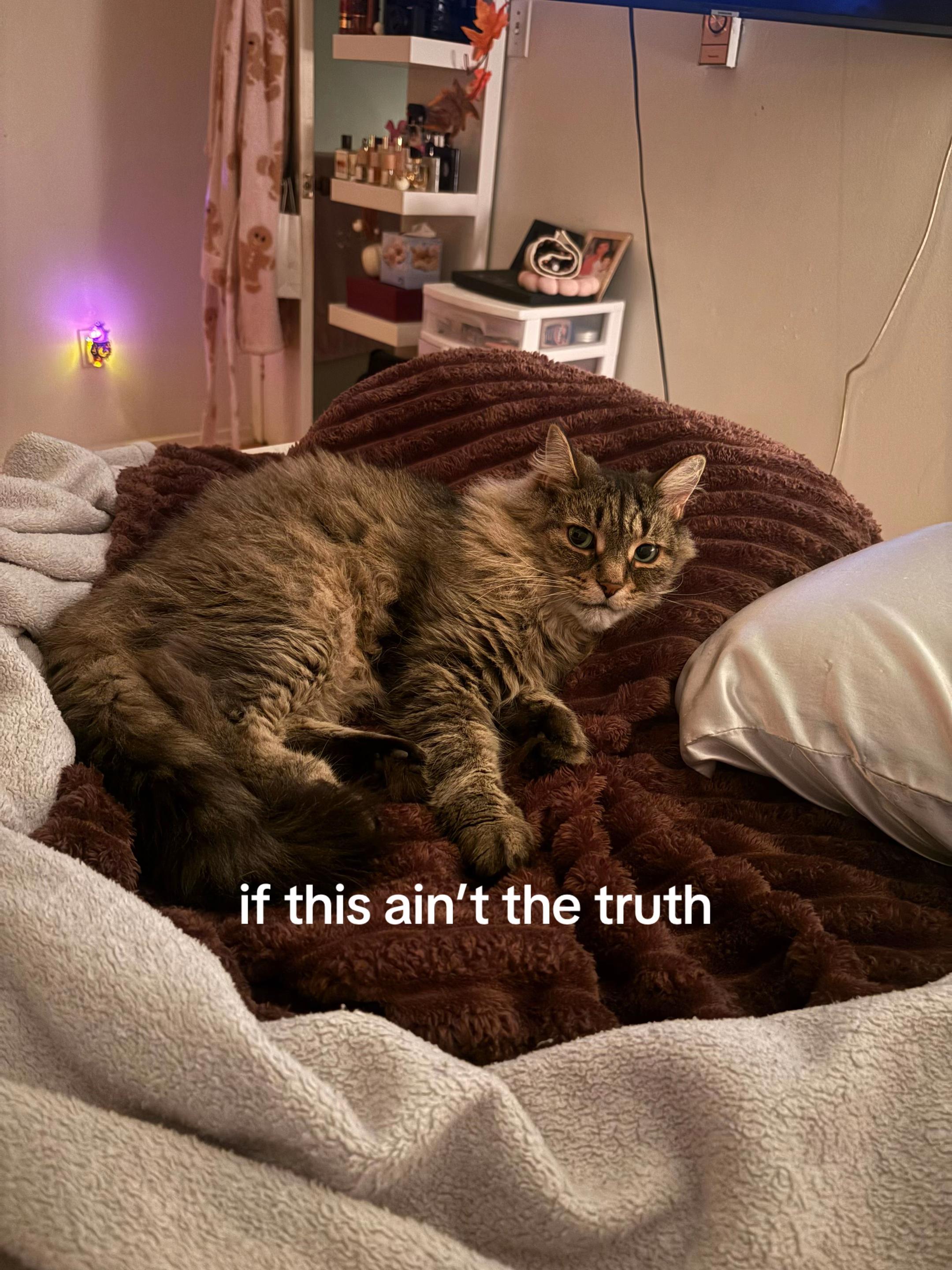 @riribee_