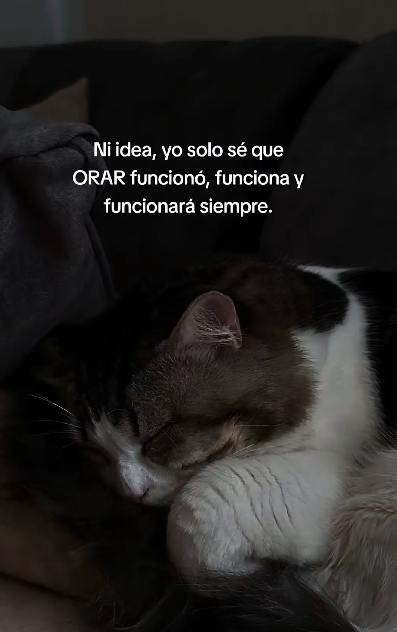 @alexander___espinal