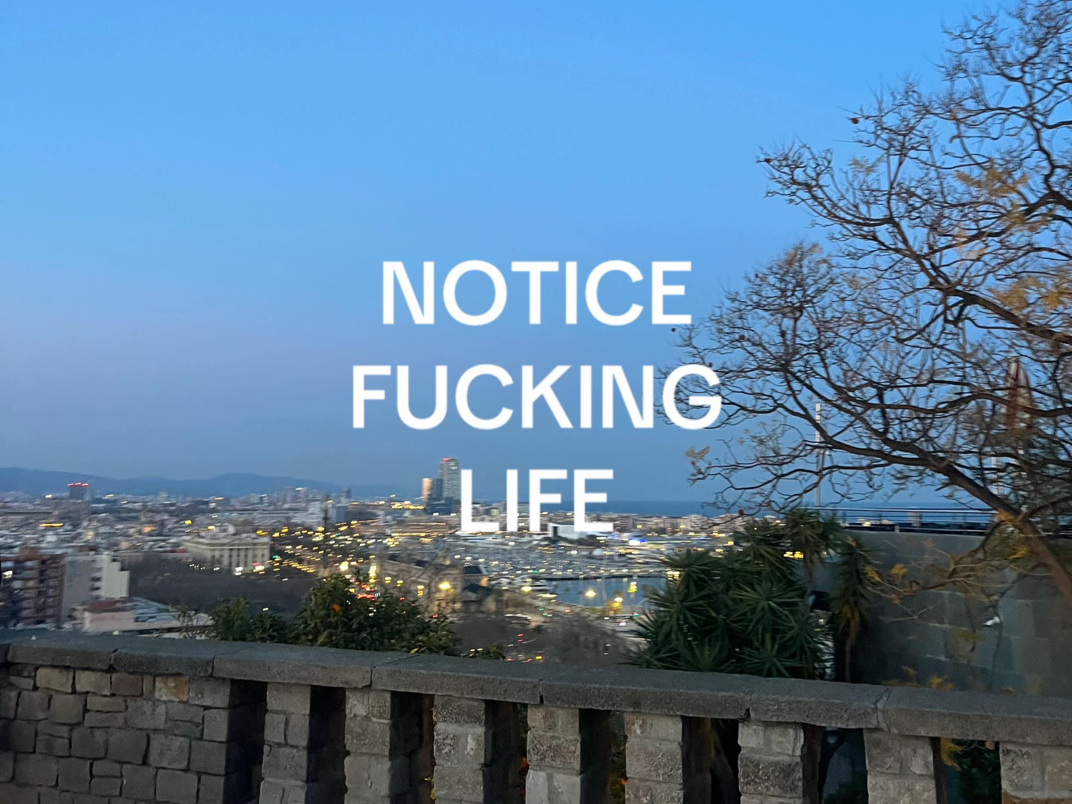 @Joana Dias