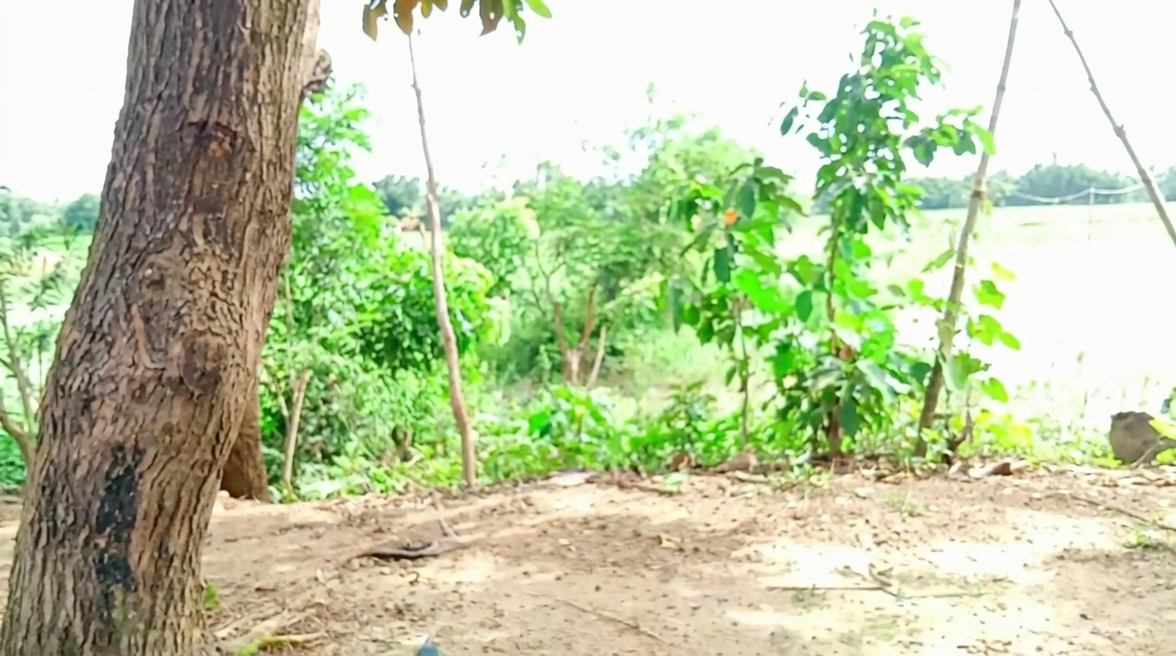 @Phan Trí Nhân