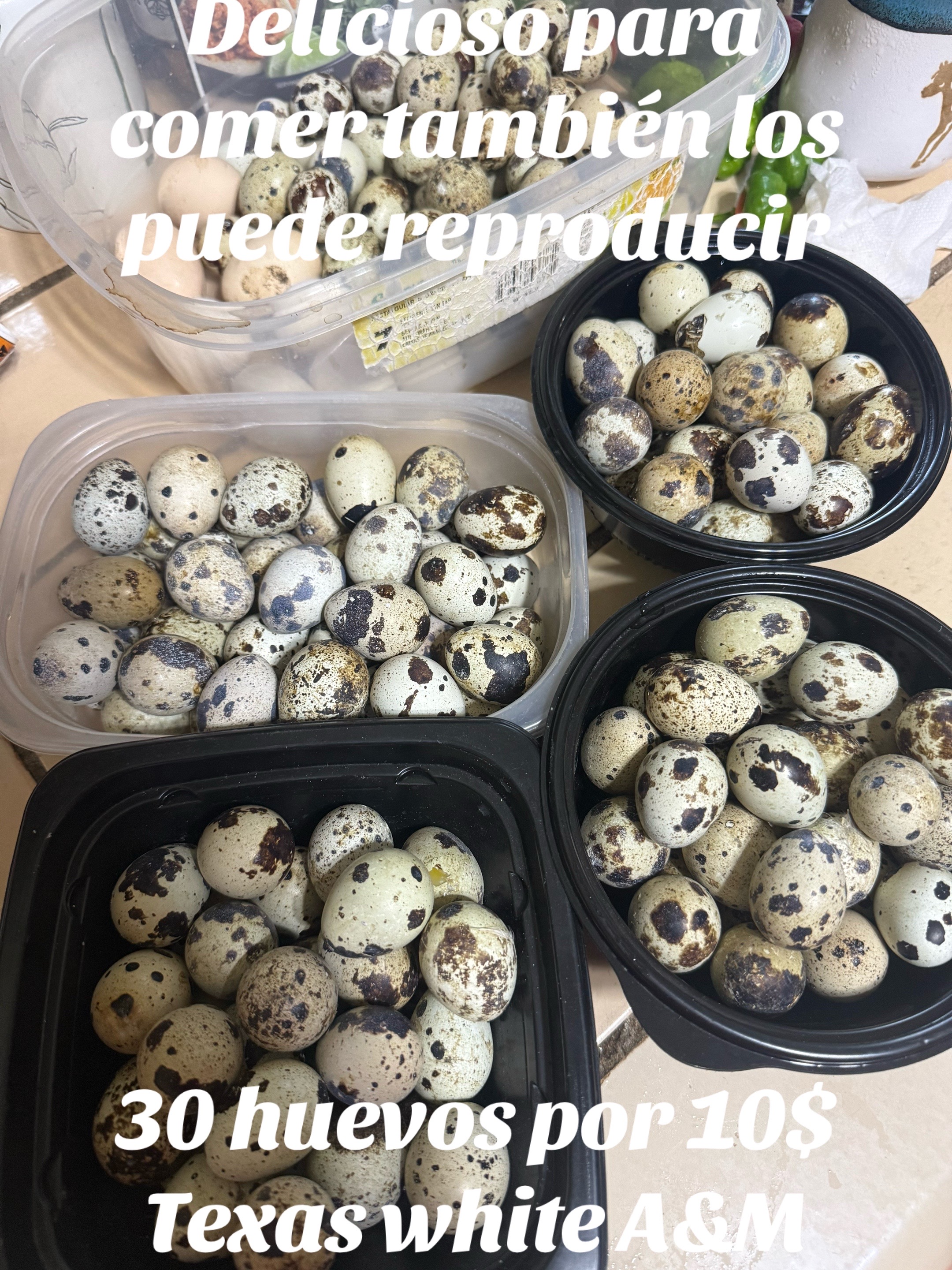 @Anunciando el Reino