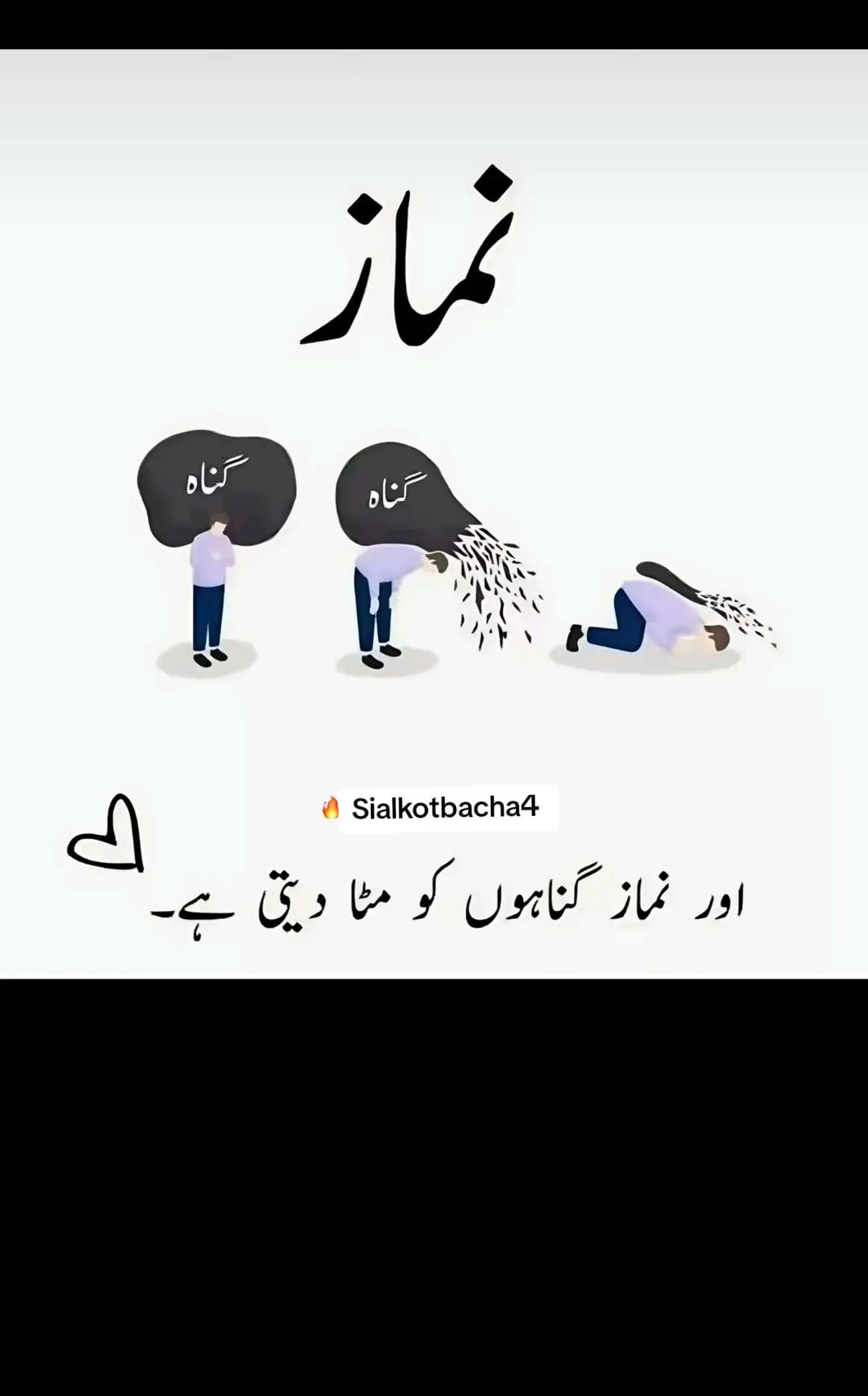 @💝👤 🐼ρ𝔸ᑎđᗩ 🐼 ♪♢