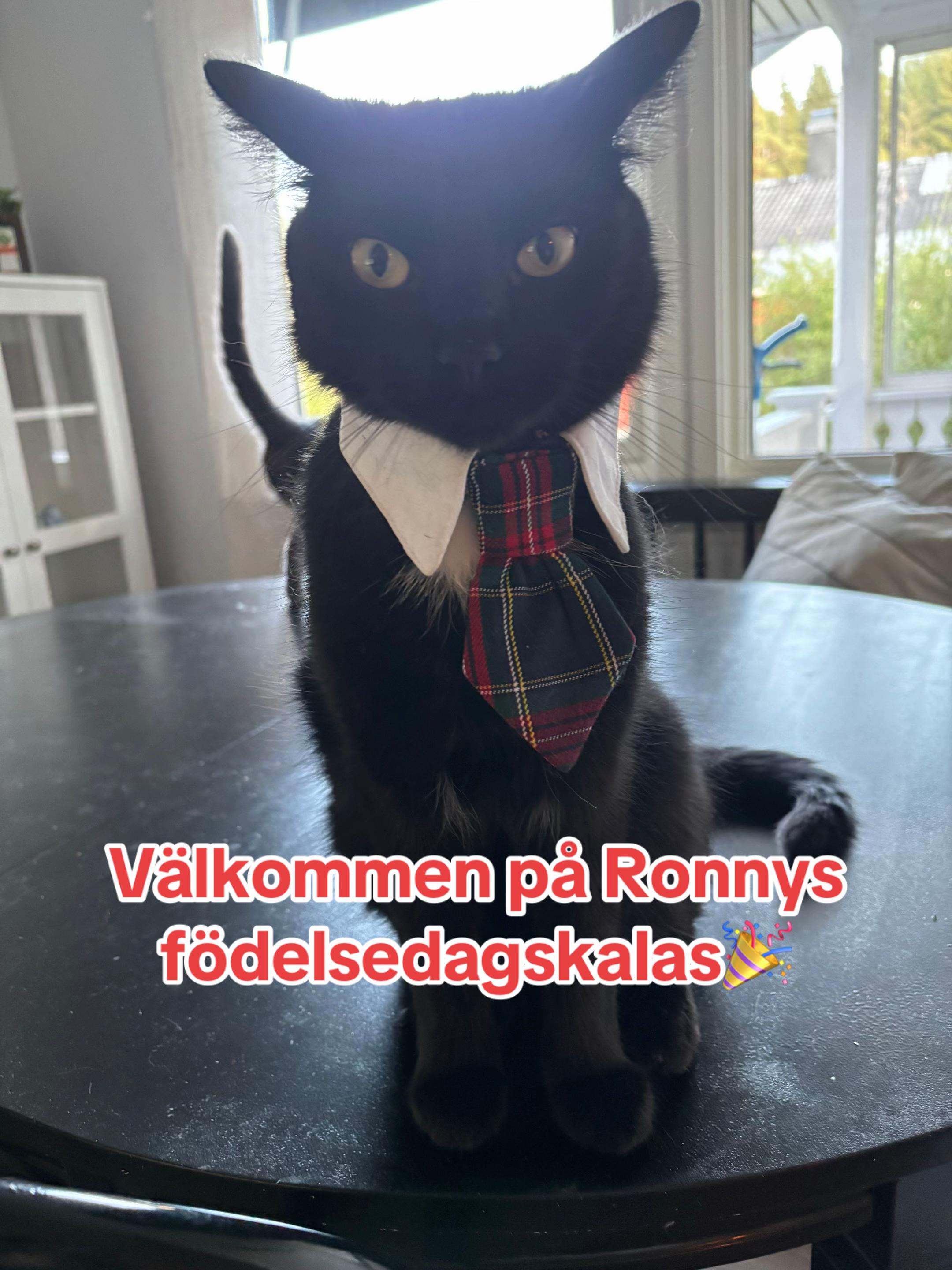 @ronnyolga