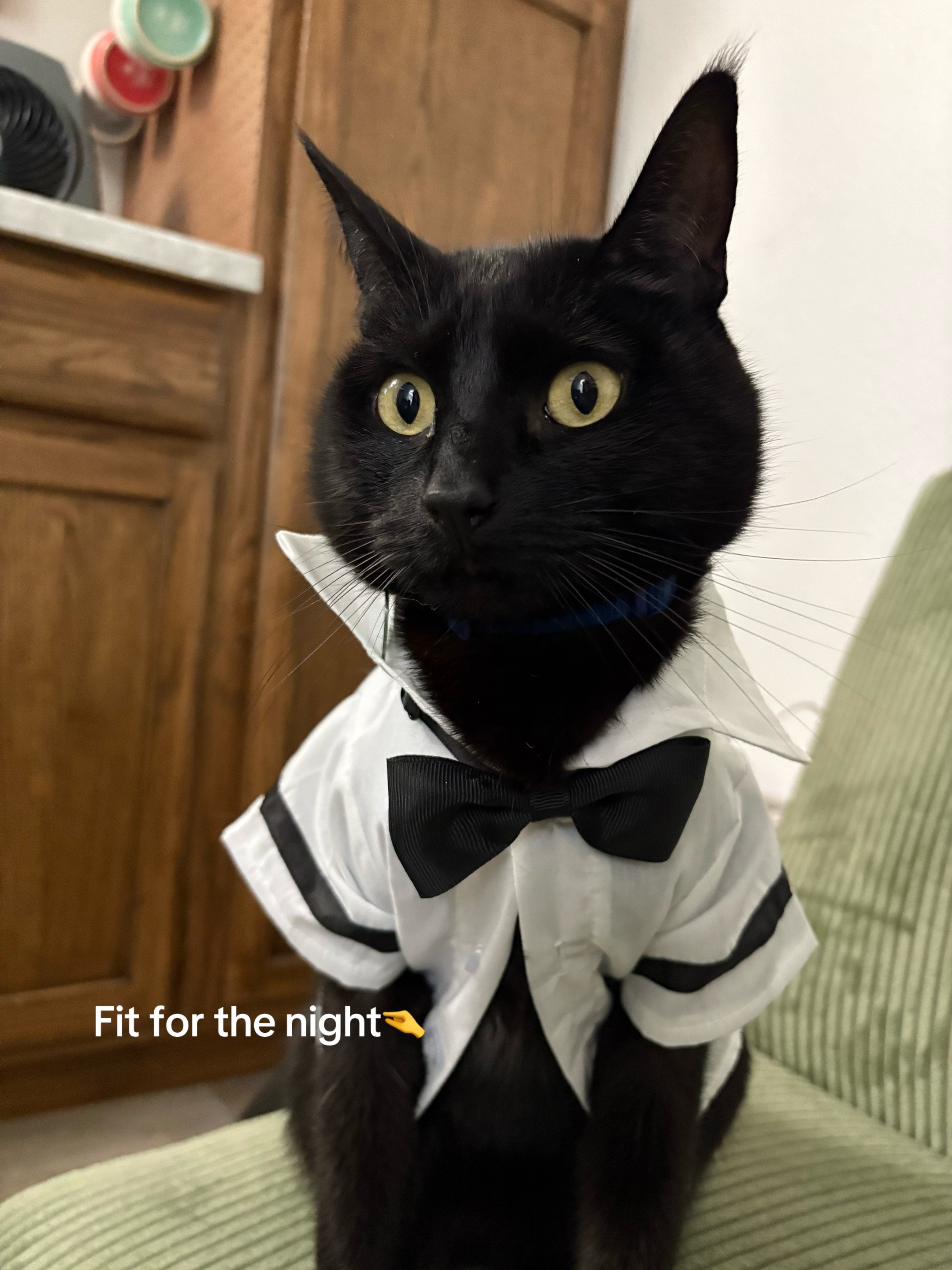 @Biggy smalls🐈⬛