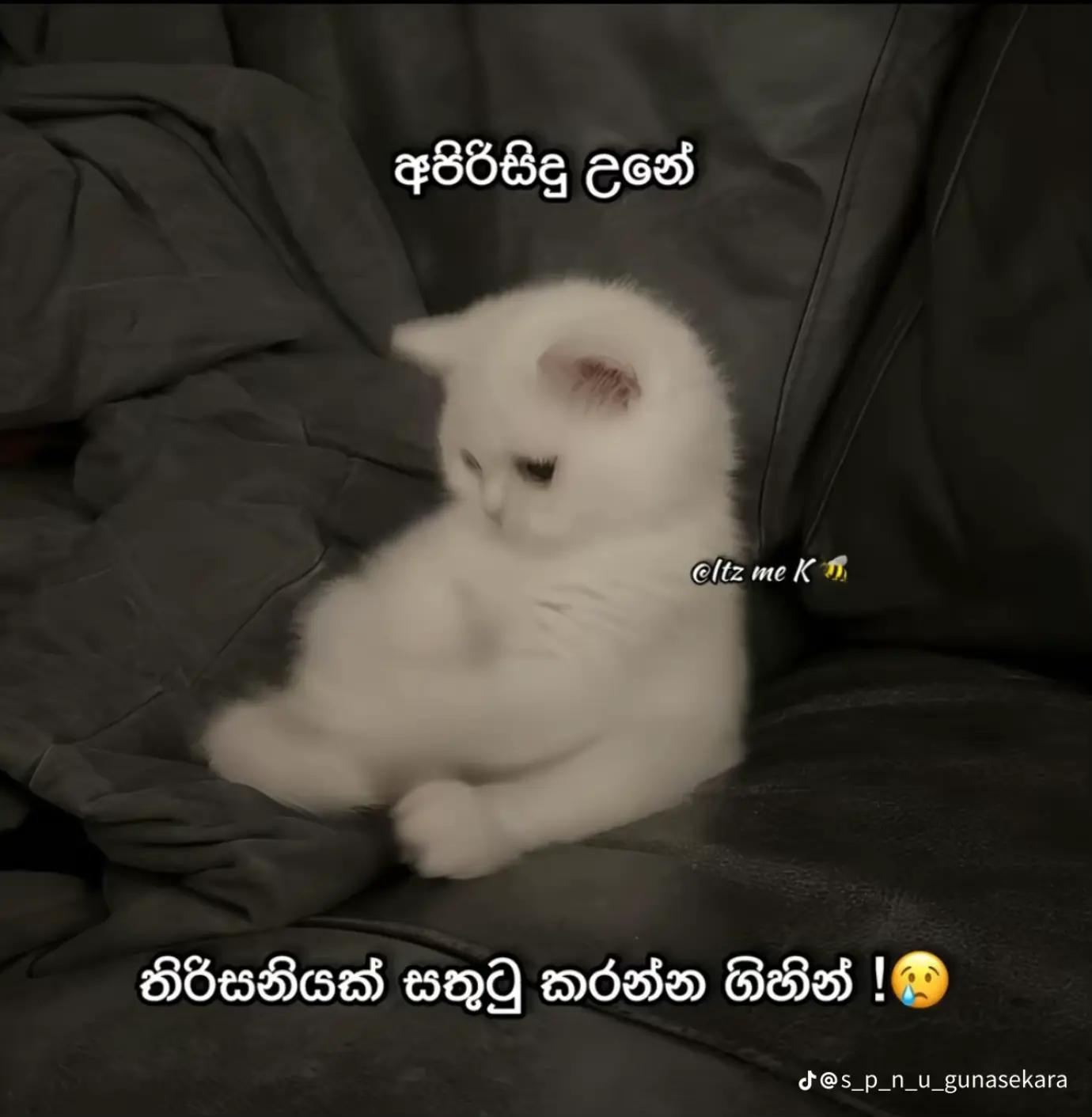 @๐ฆ
๐๐ฉ๐จ_๐๐๐จ๐ฎ ๐ฑ๐ฐ๐ถ๐ฆ