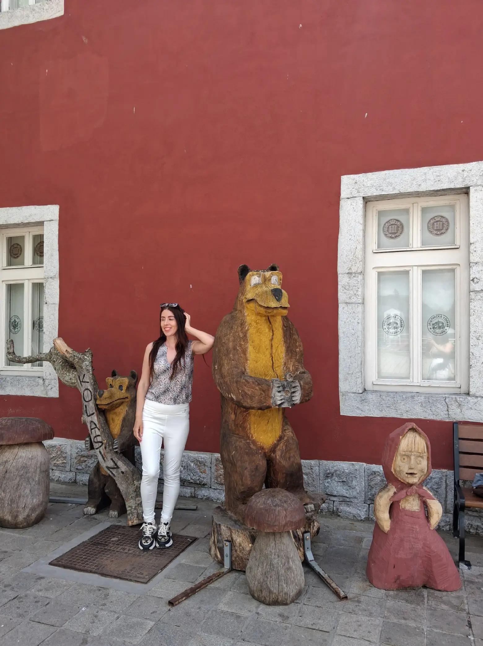 @Dijana Maric471
