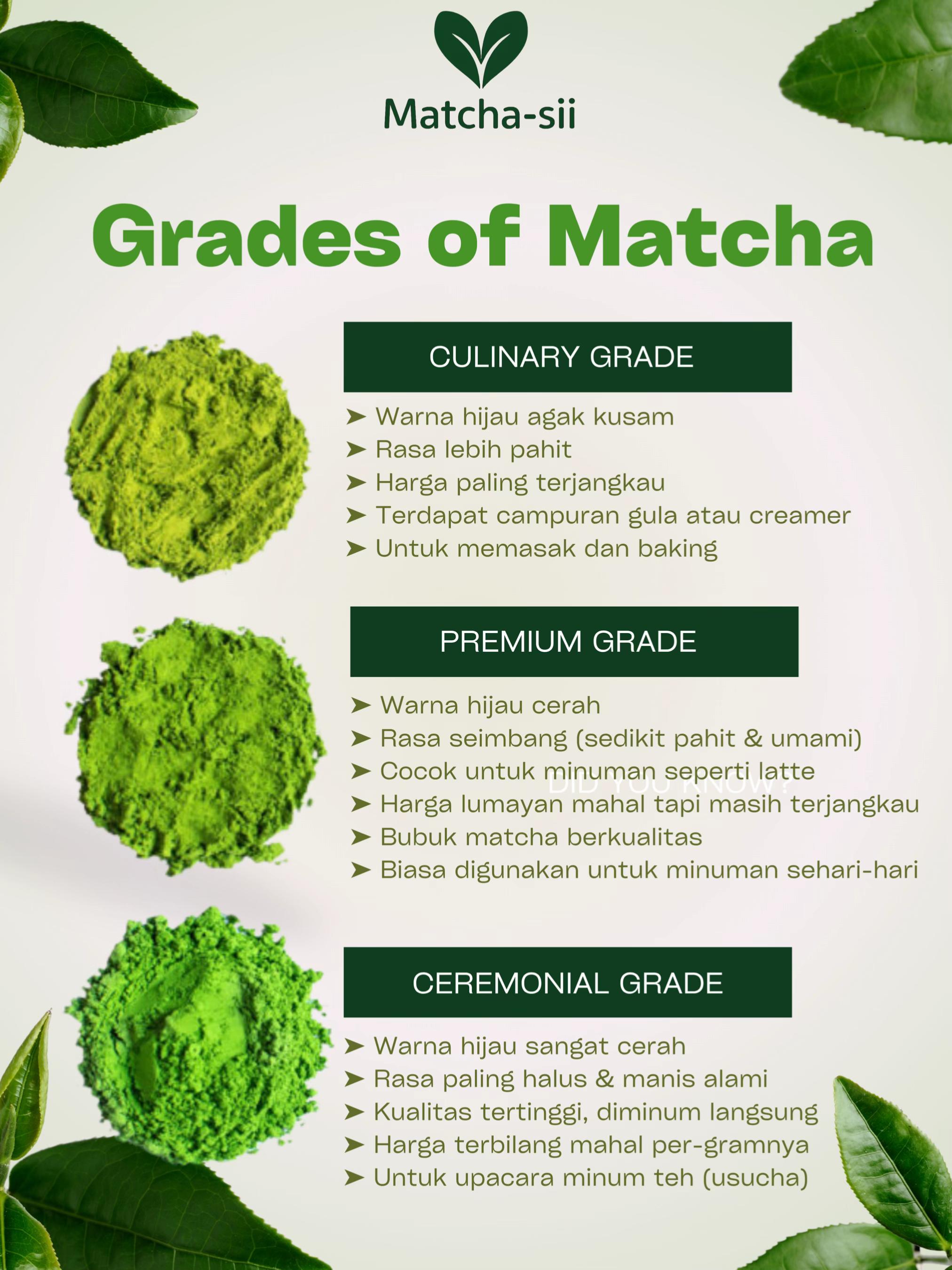 @MATCHASII SUPPLIER MATCHA