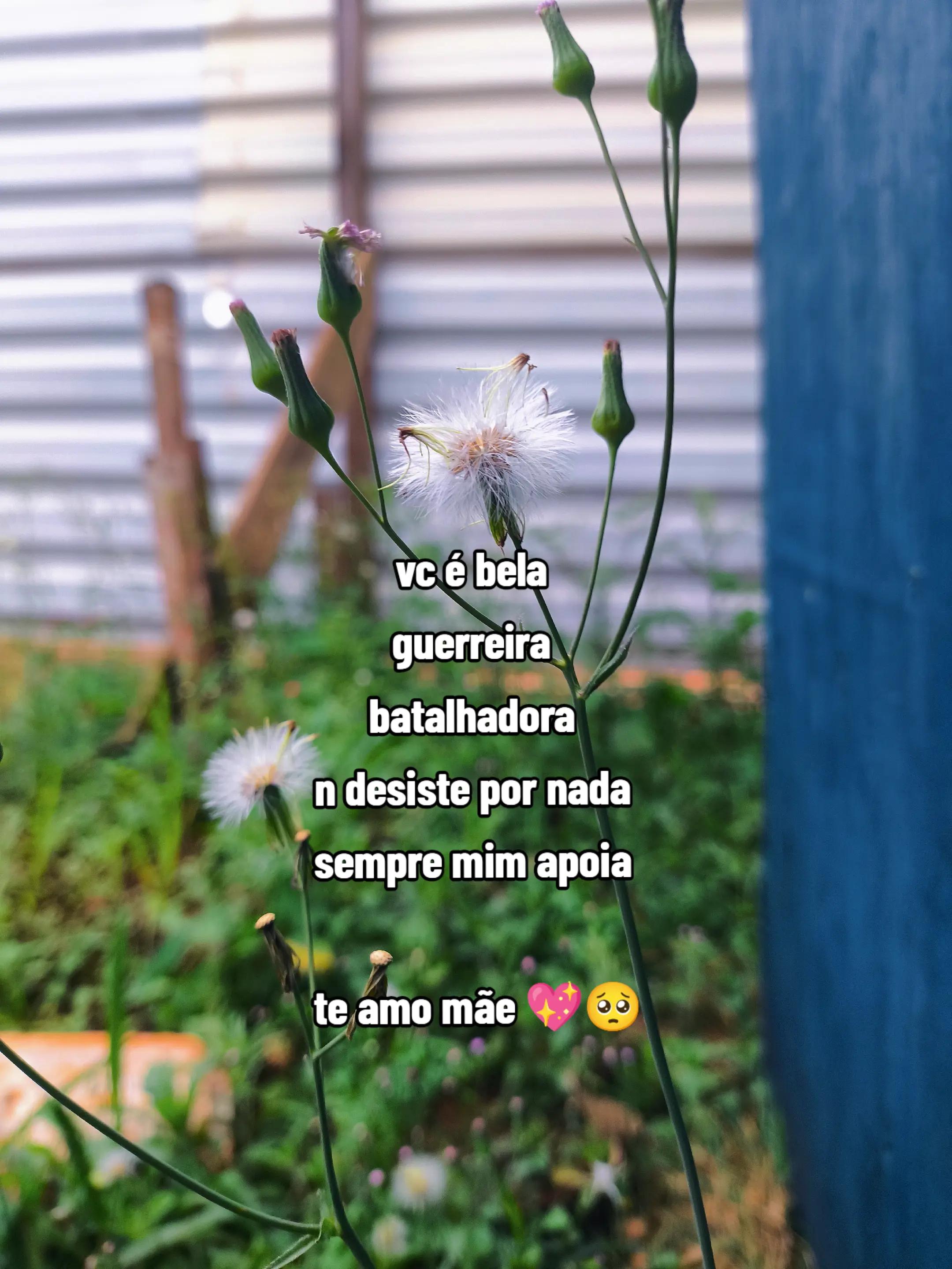 @๐๐๐ ๐๐ ใ