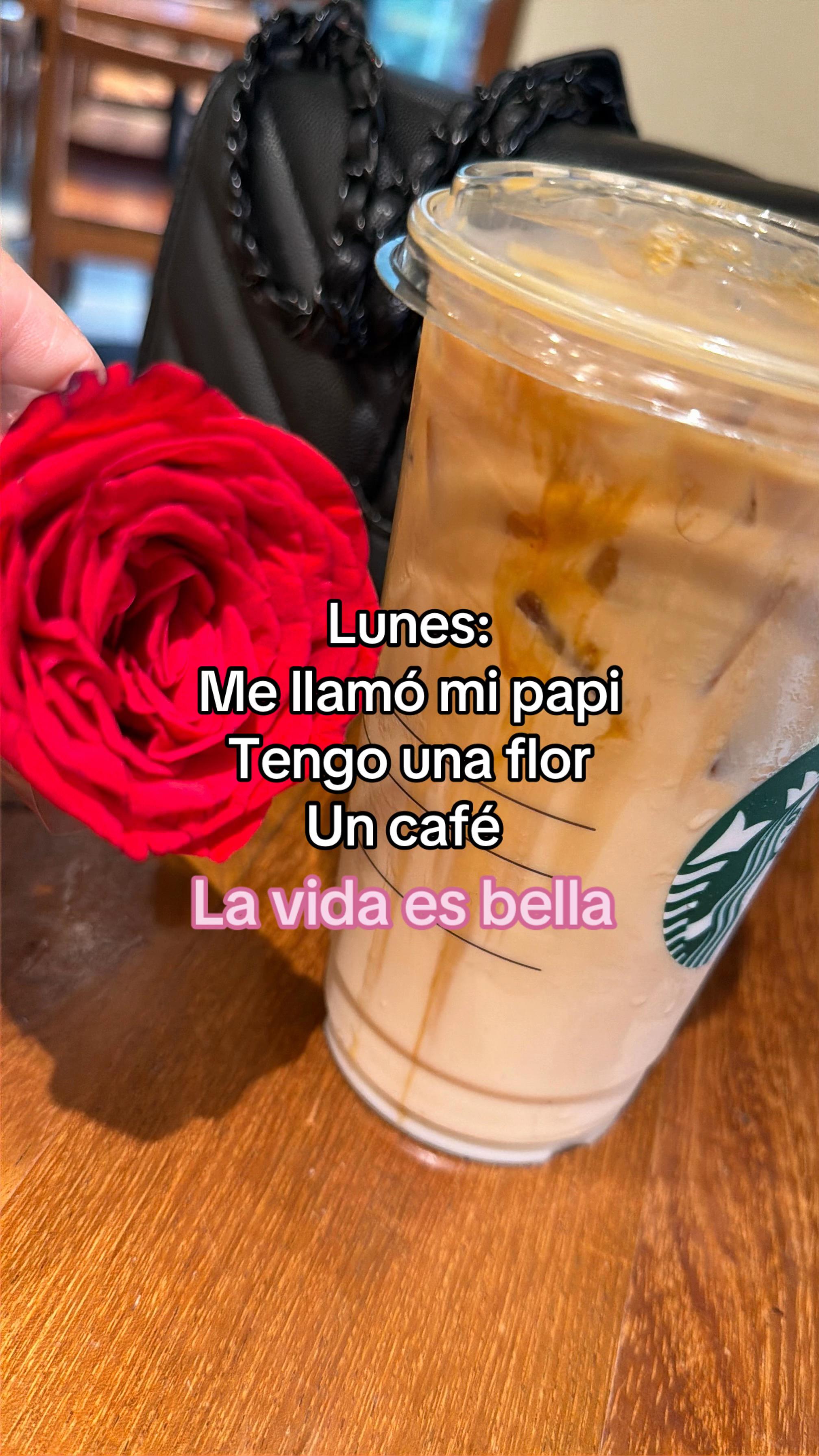 @TalyRochaG🌸