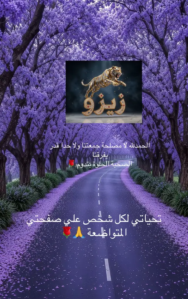 @زيزو Zak ملك الابتسامه 🌹