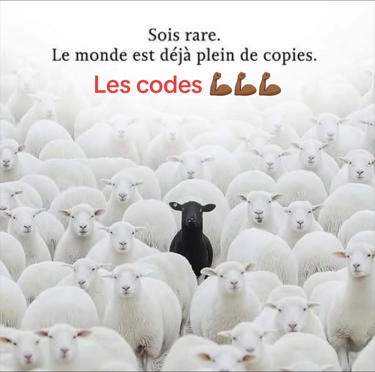 @Donatien