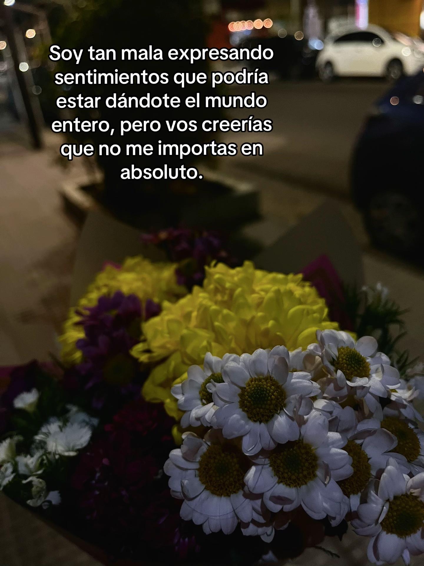 @32sofi_79
