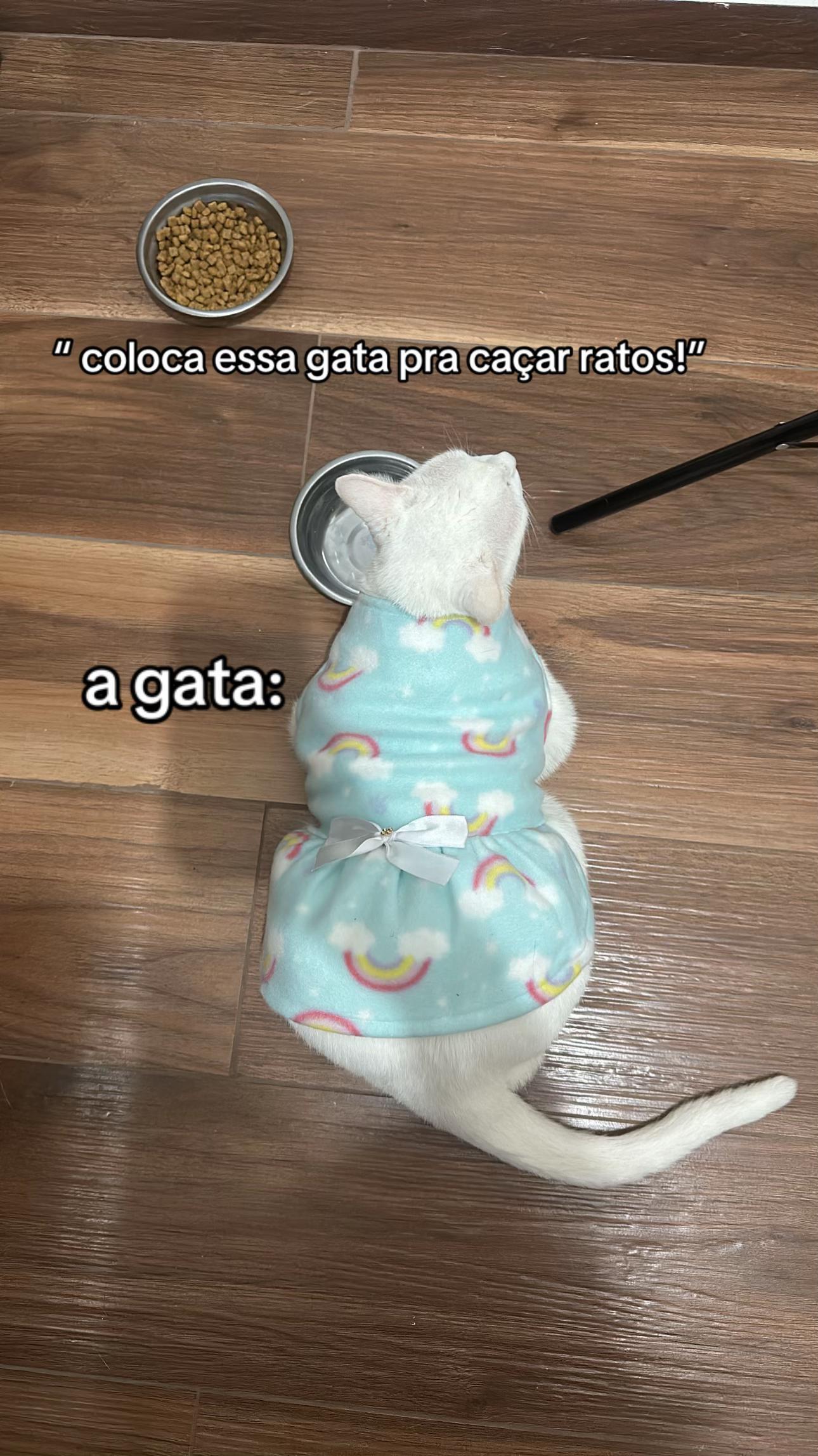 @carolsttefi