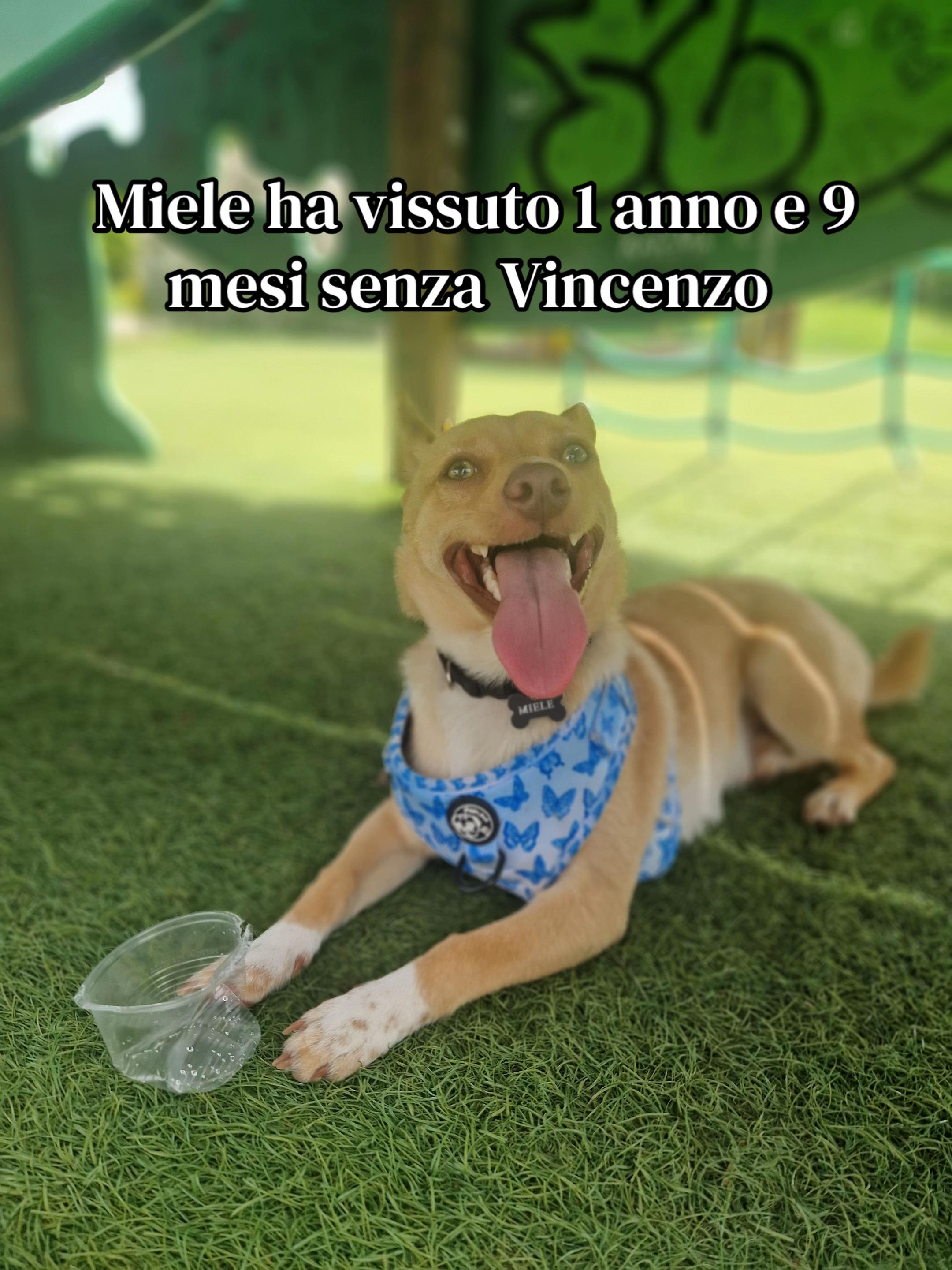 @Veronica Del Vecchio