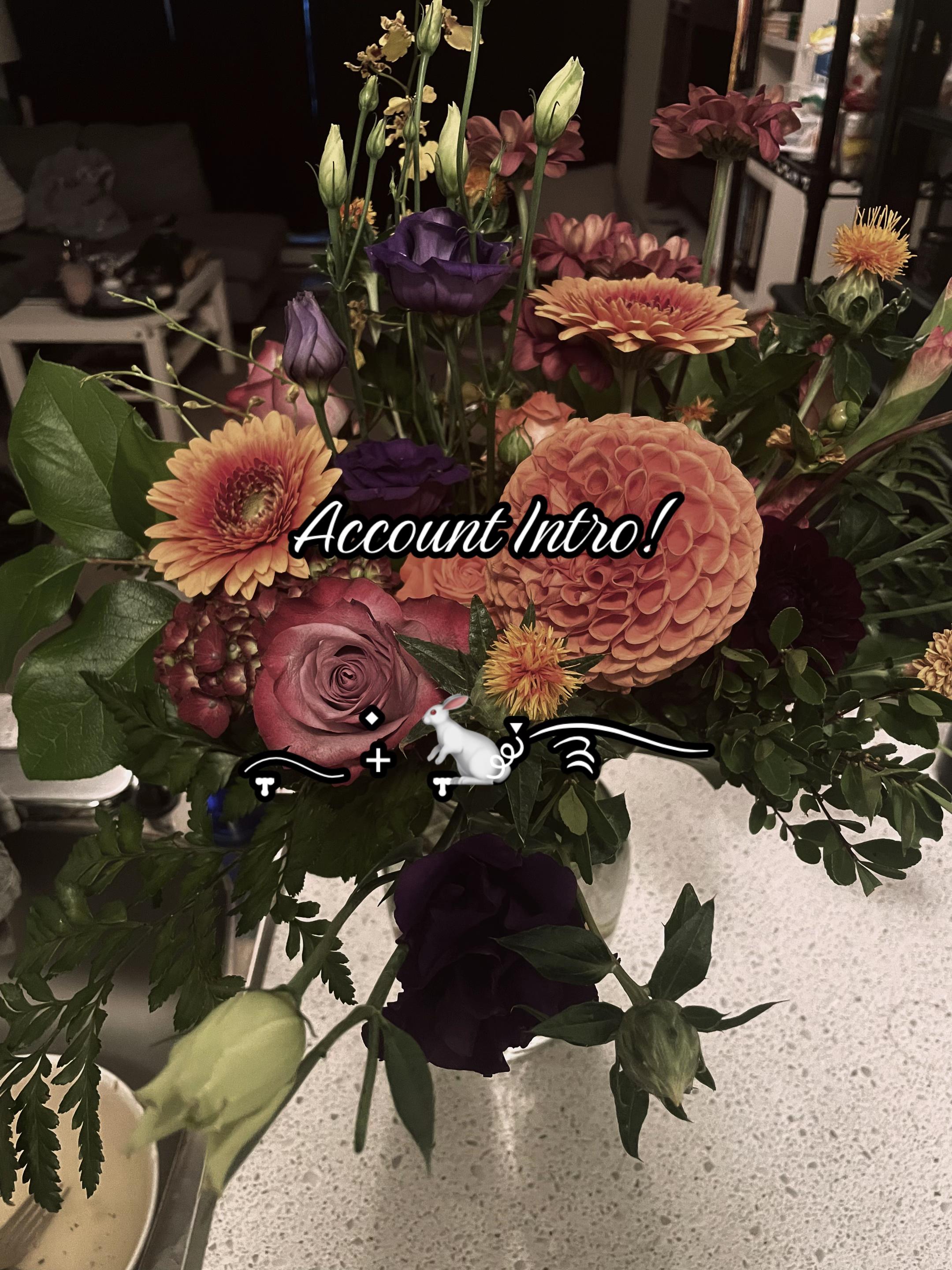 @⊱༒︎༻ Alice ༺༒︎⊰
