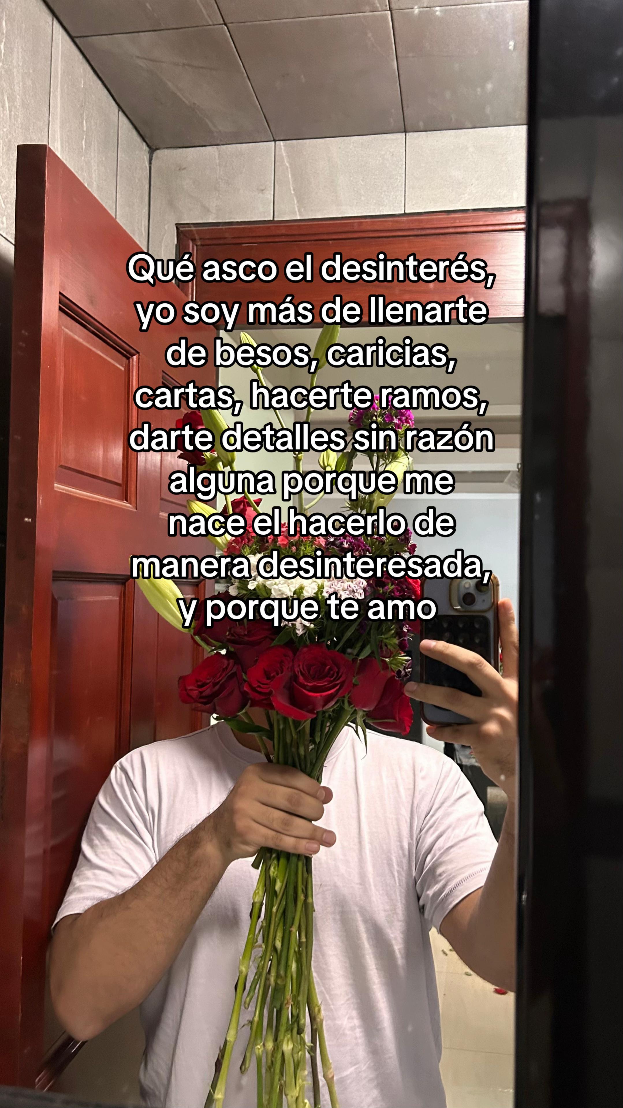 @CachyRulinho