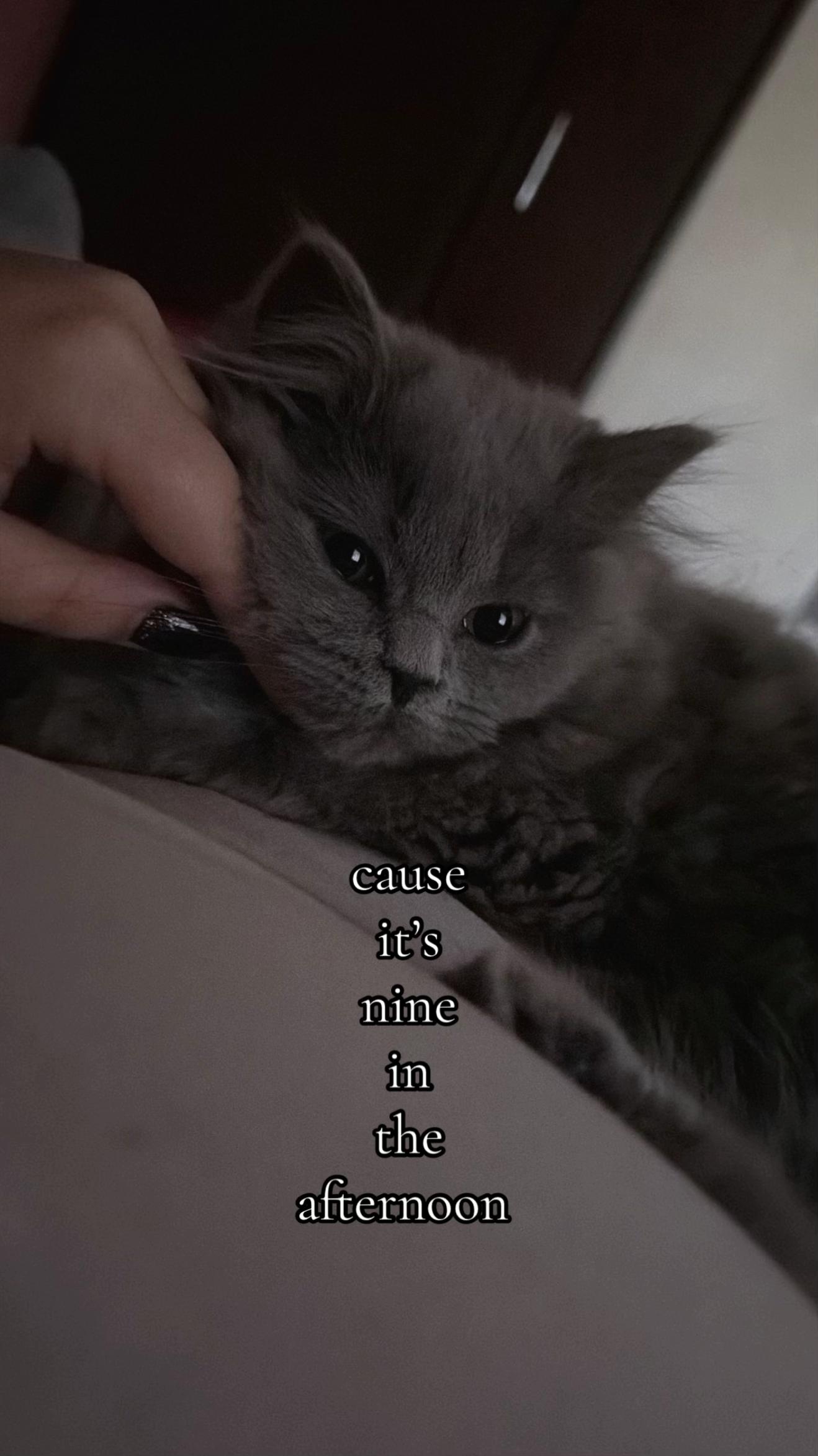 @Oana