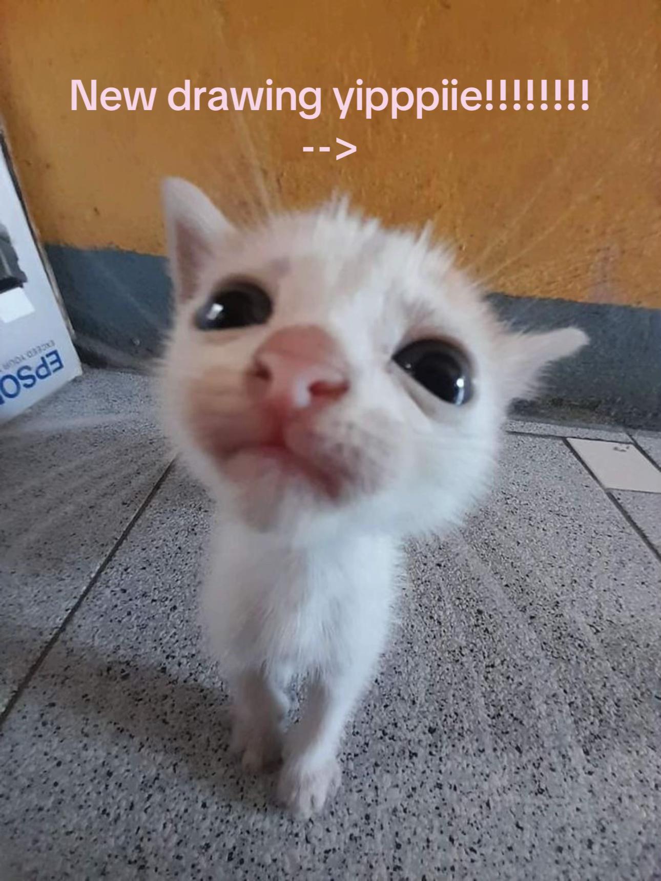 @˖ ֹ੭୧ 𝑨𝒍𝒆𝒙 ⊹ ࣪ ⑅
