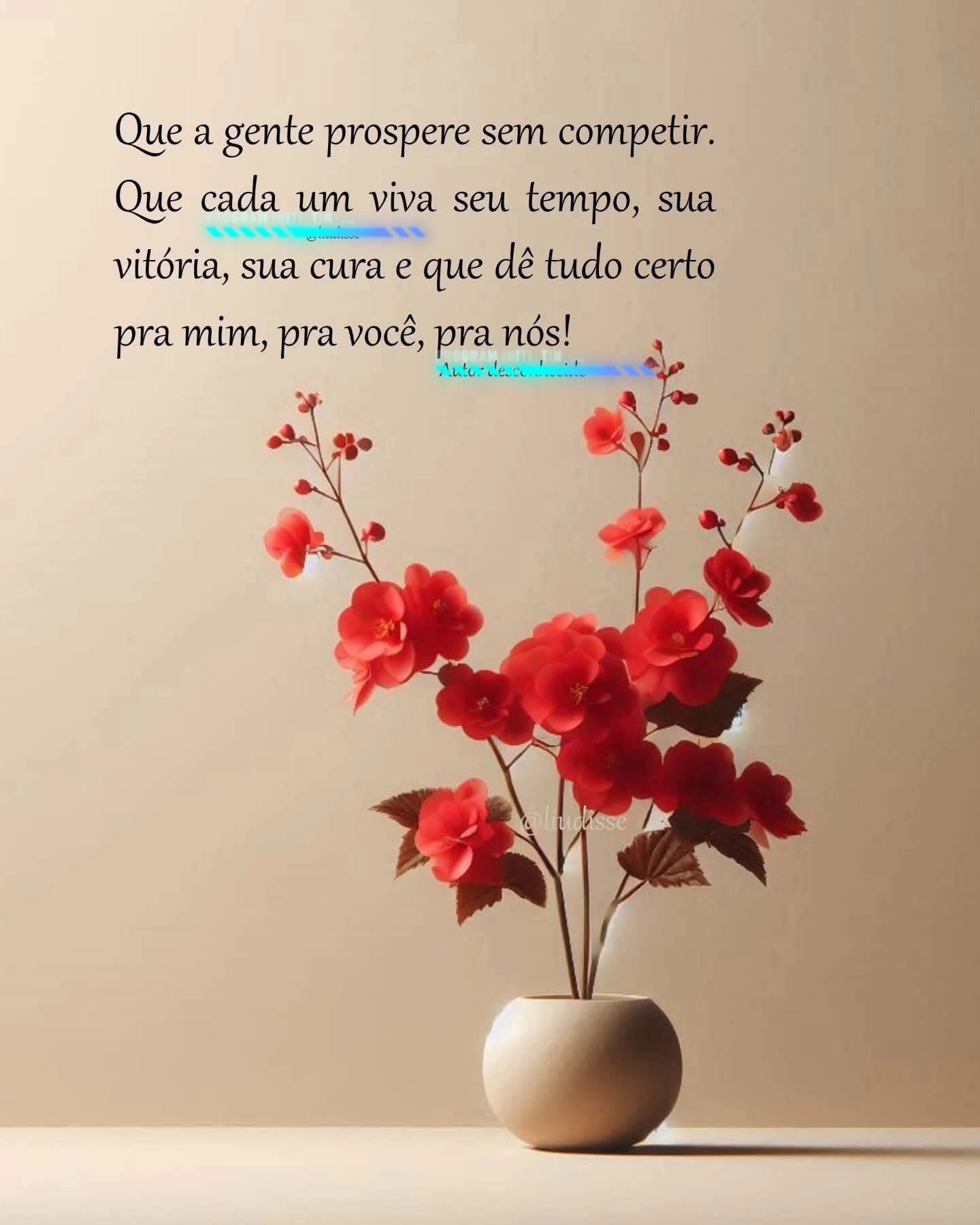 @🪬🧿📿🙏🏻❤️💆🏻💆🏻&zwj;♀️💍Lupy