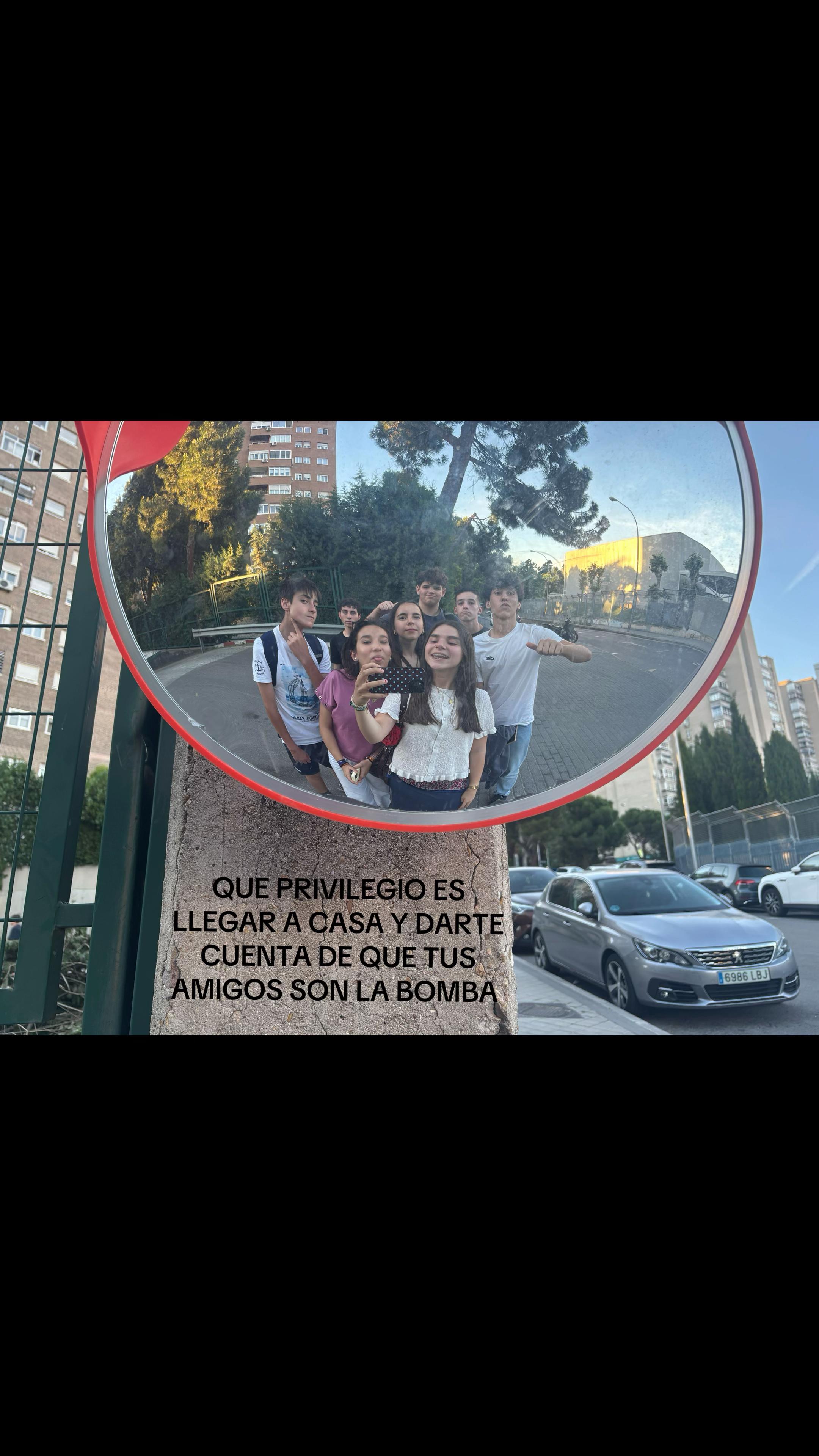 @cerdipous