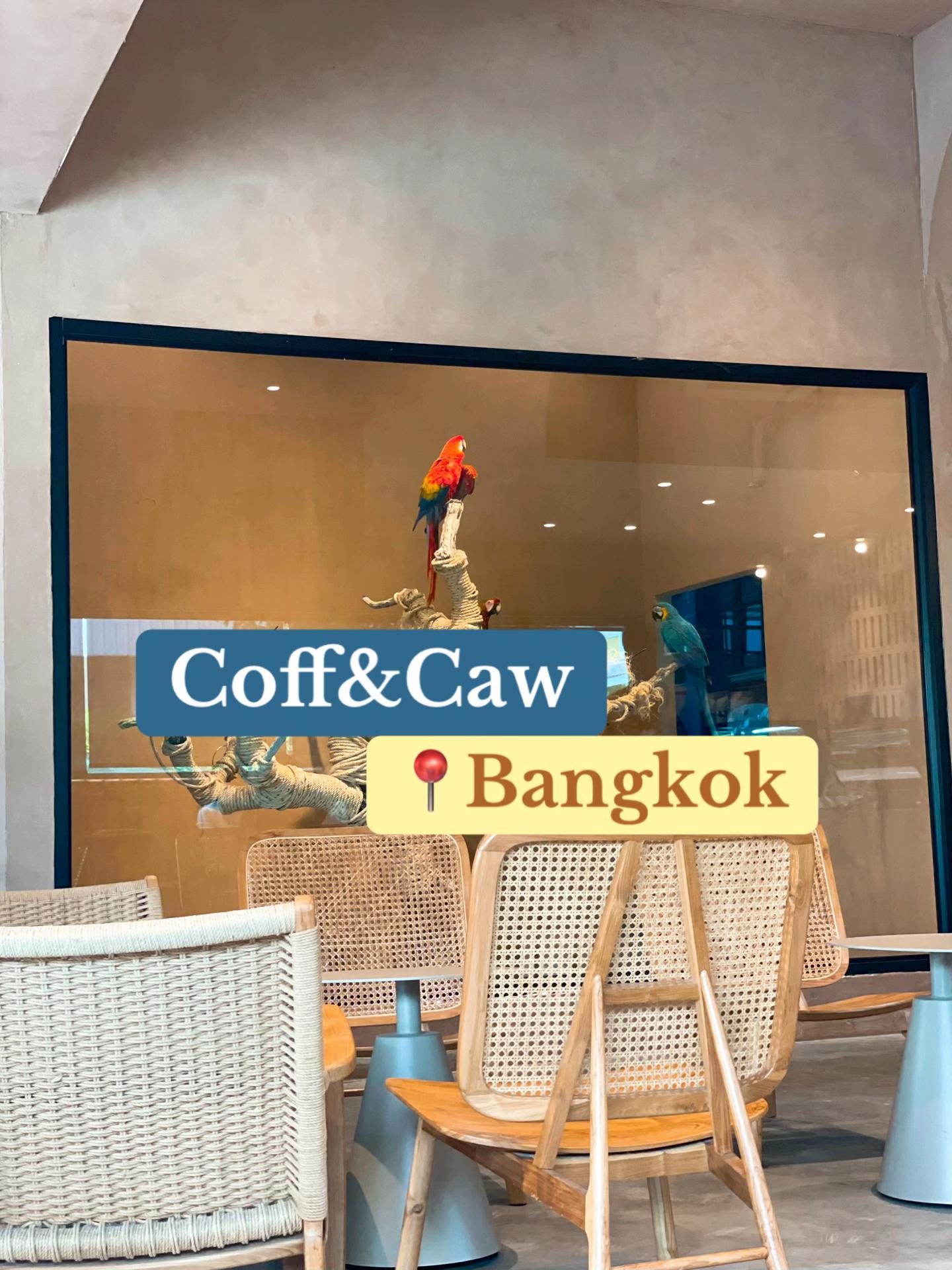@คุณพีที่หาเงินเลี้ยงนกツ
