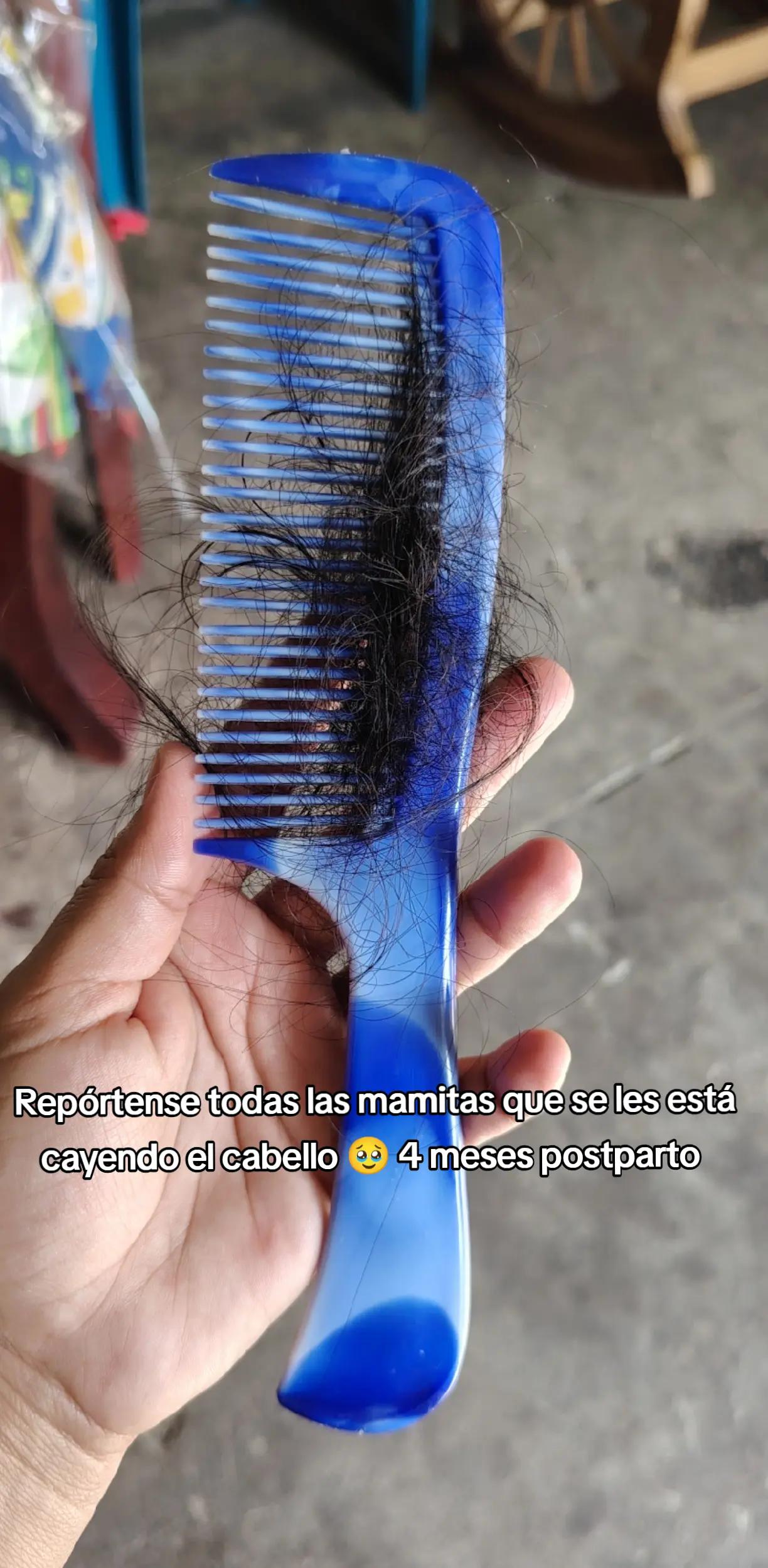 @Selena Pérez🇸🇻503