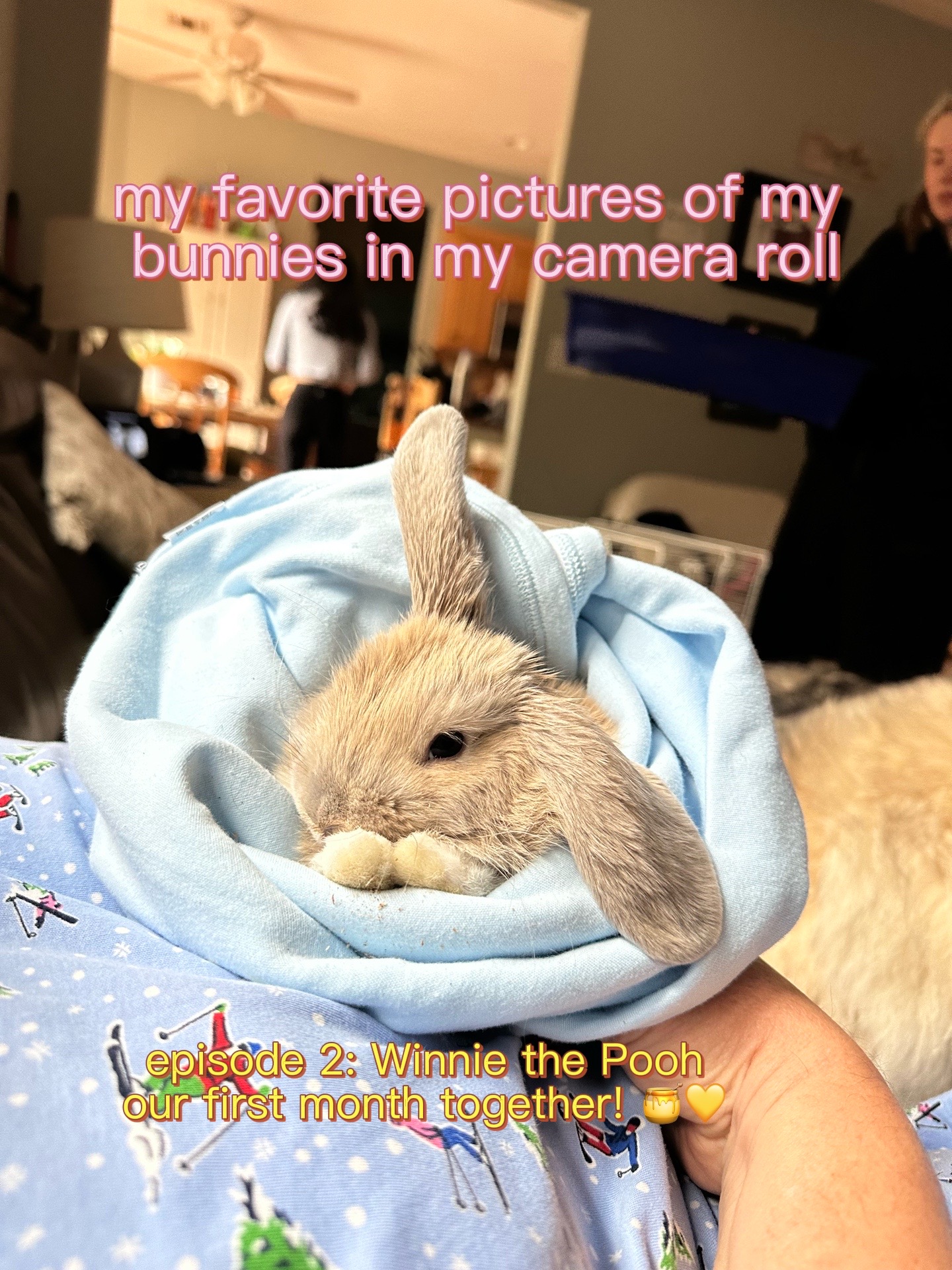 @julesandbuns
