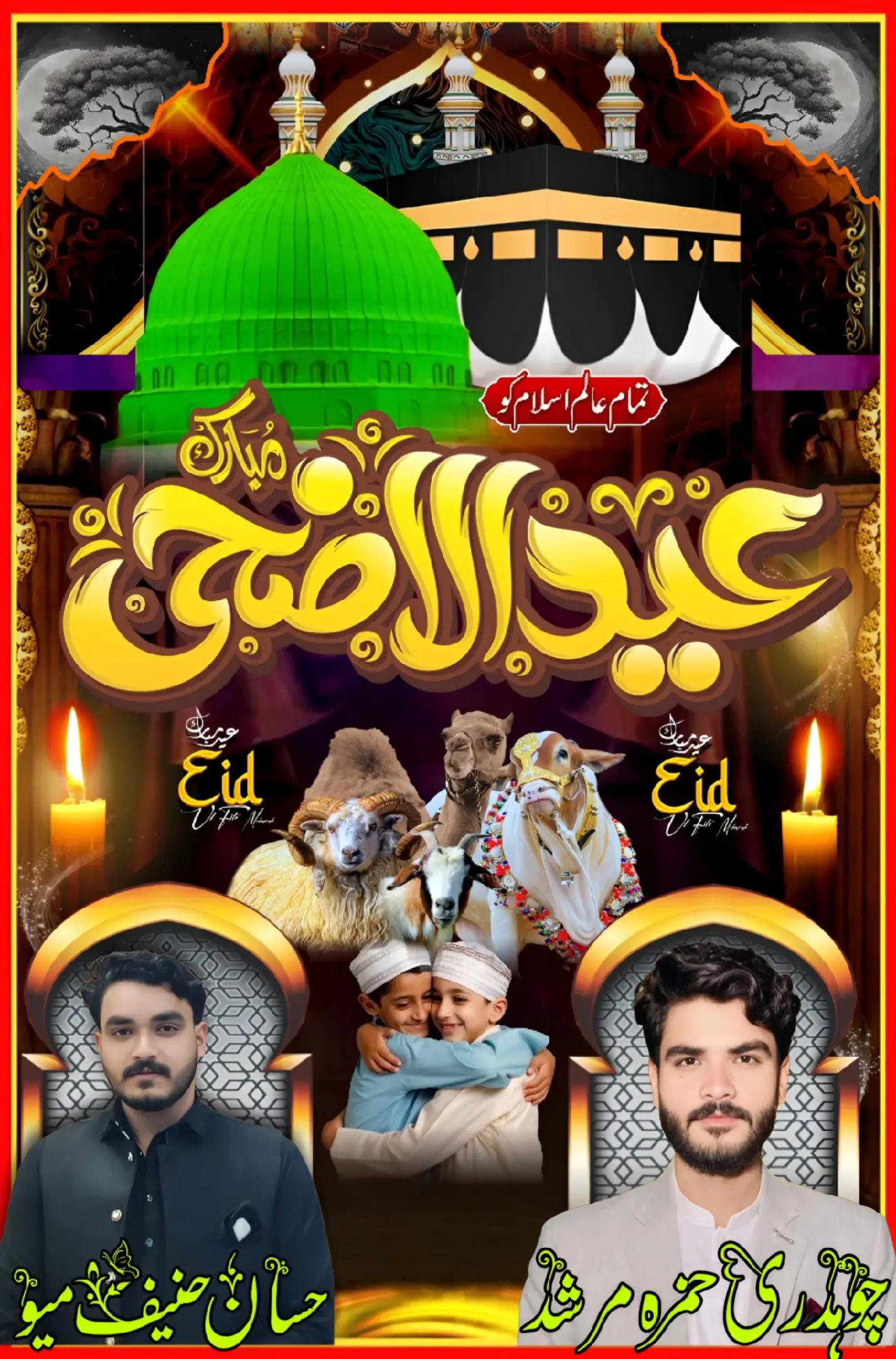 @حمزہ حنیف میٔو(Murshad )
