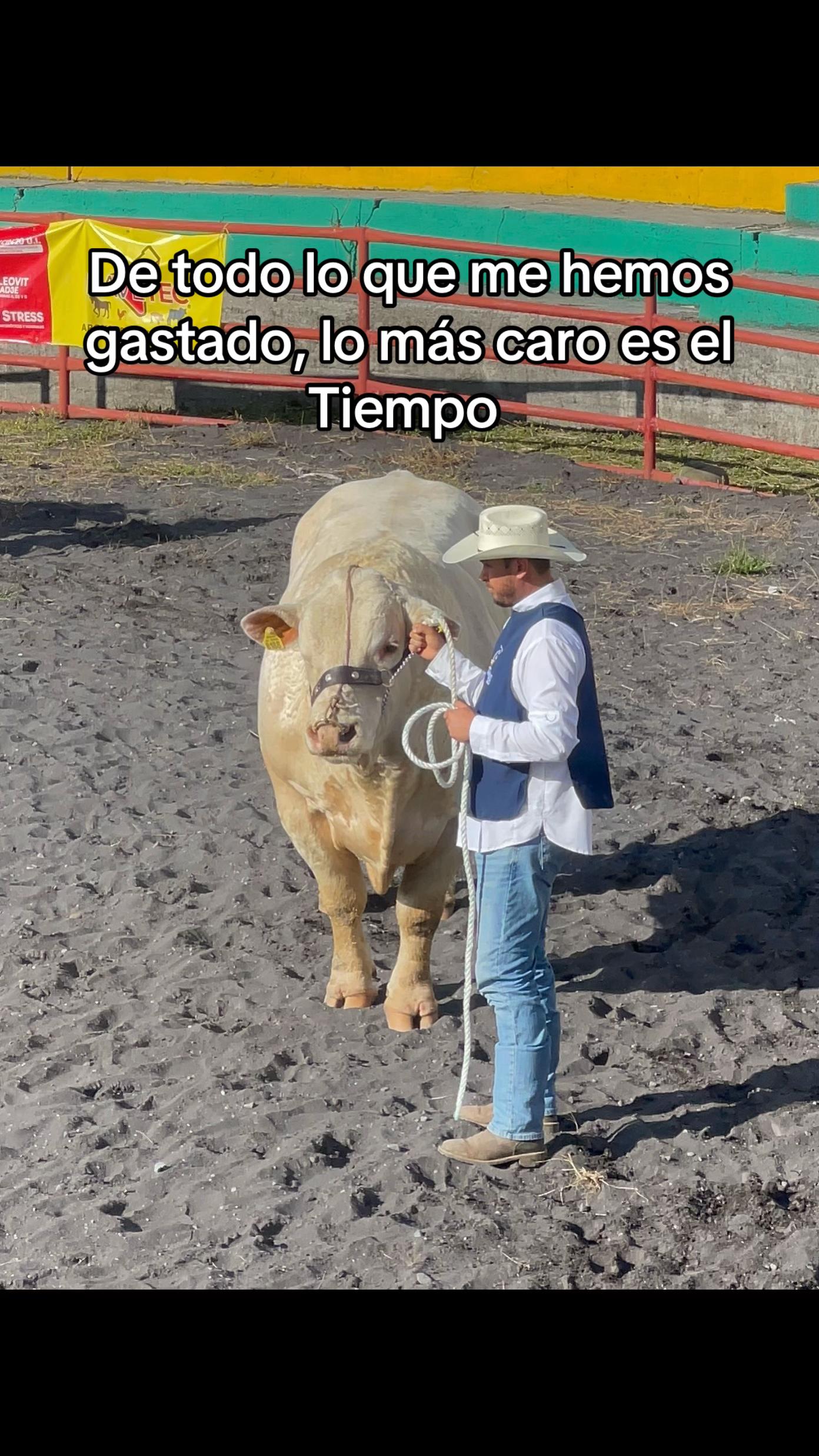 @Hernán Andres