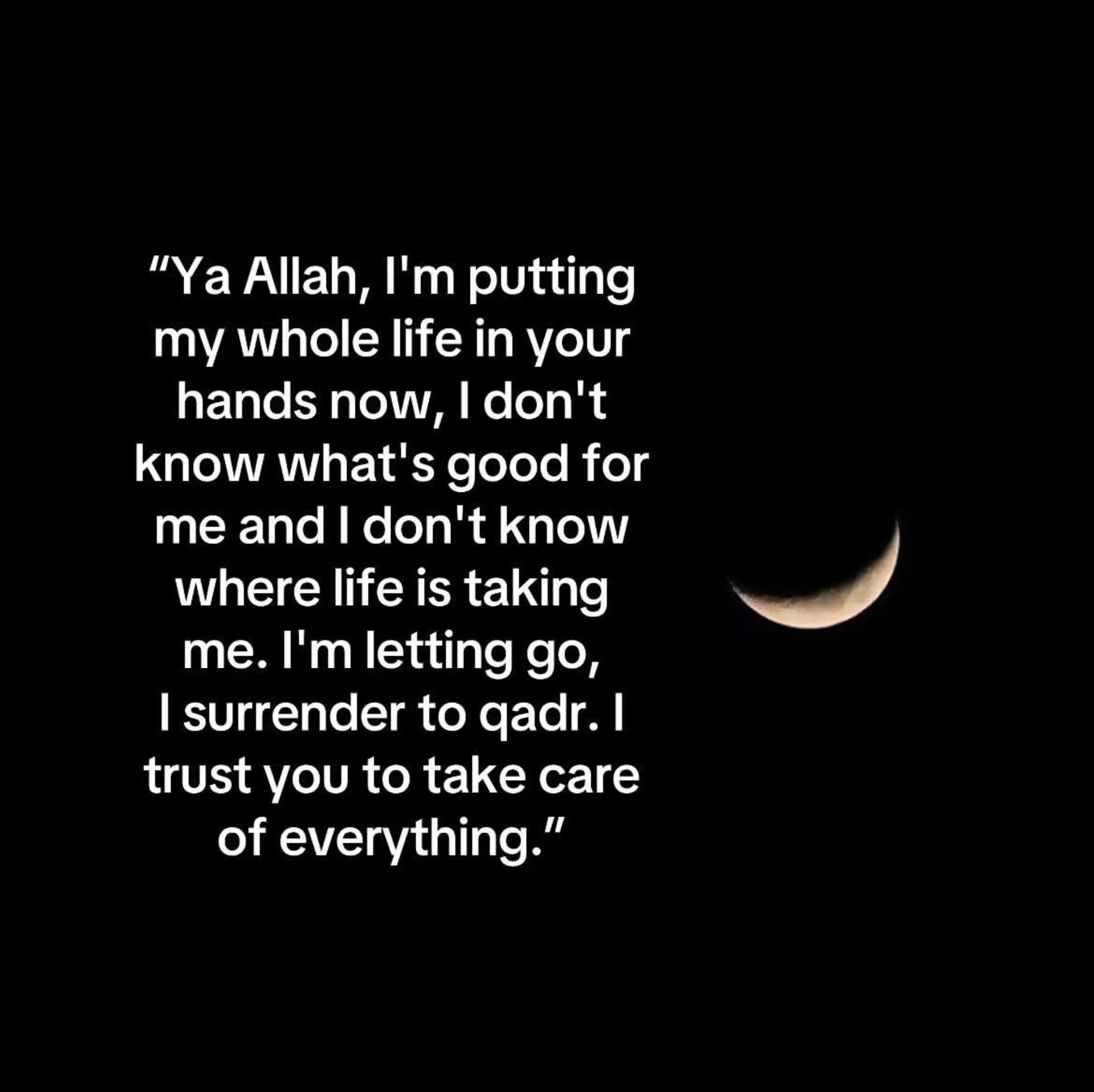 @salma ali