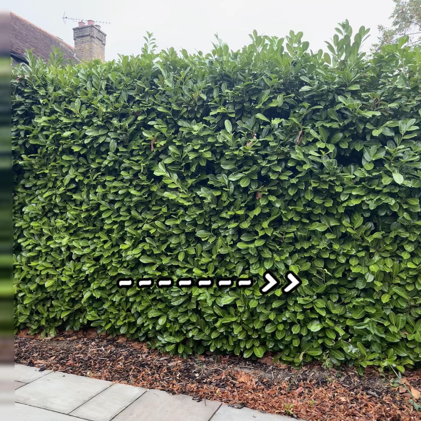 @carterslandscapes
