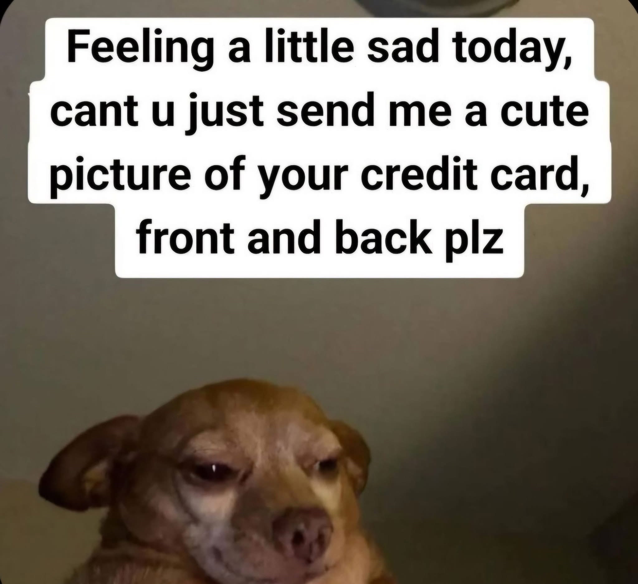 @Lieutenantsquirter420