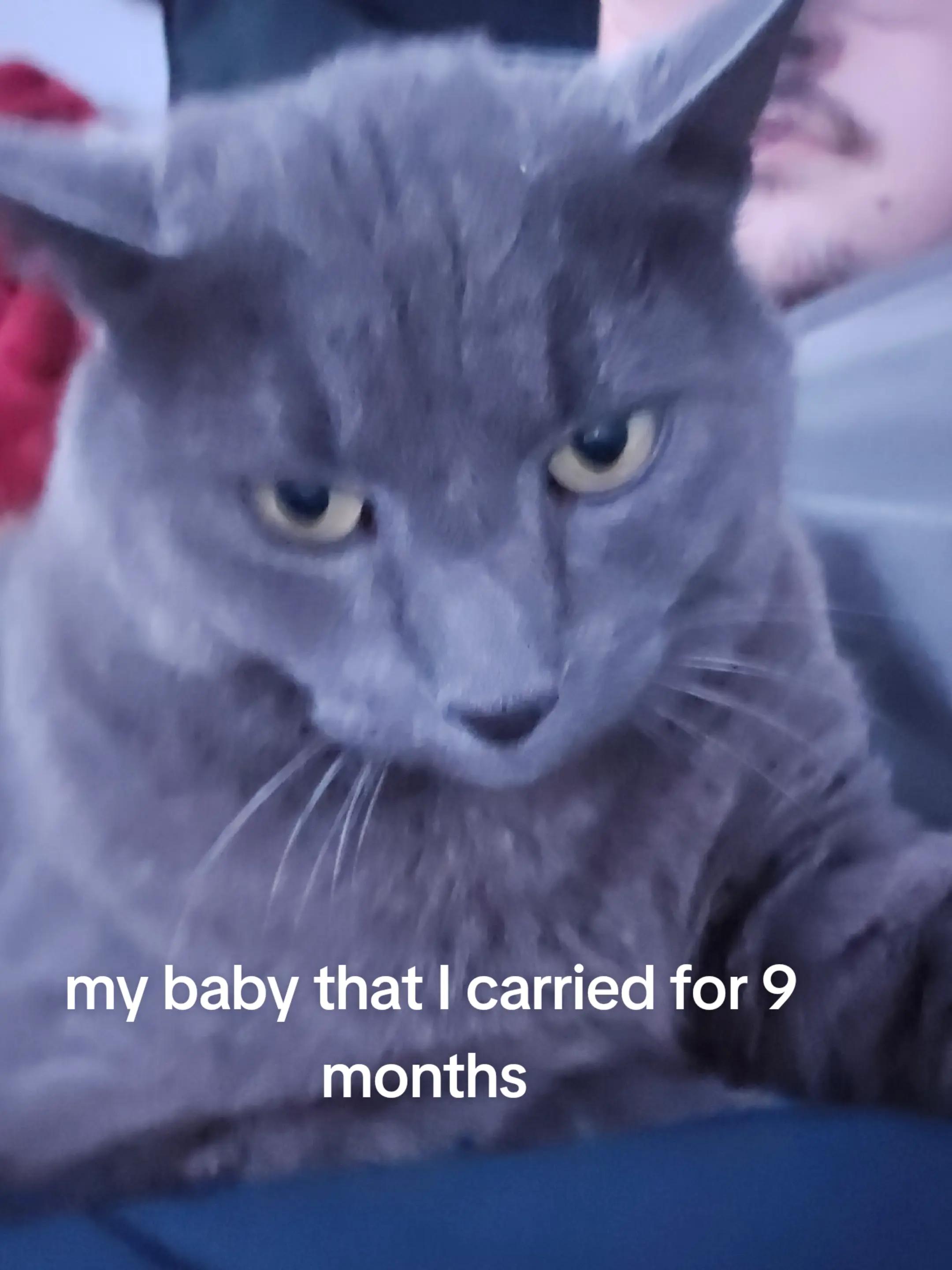 @Lucas