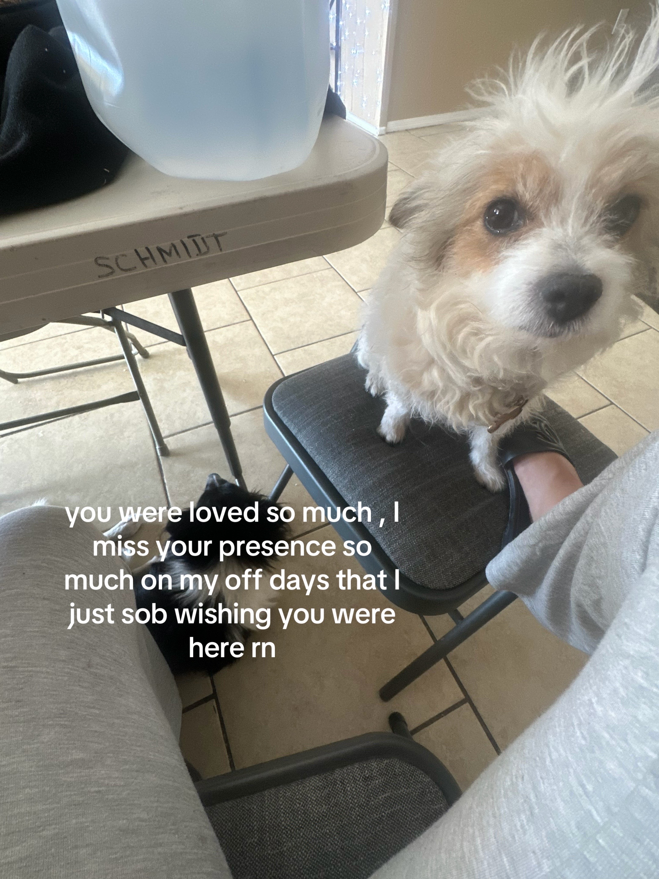 @Yuli ❤️