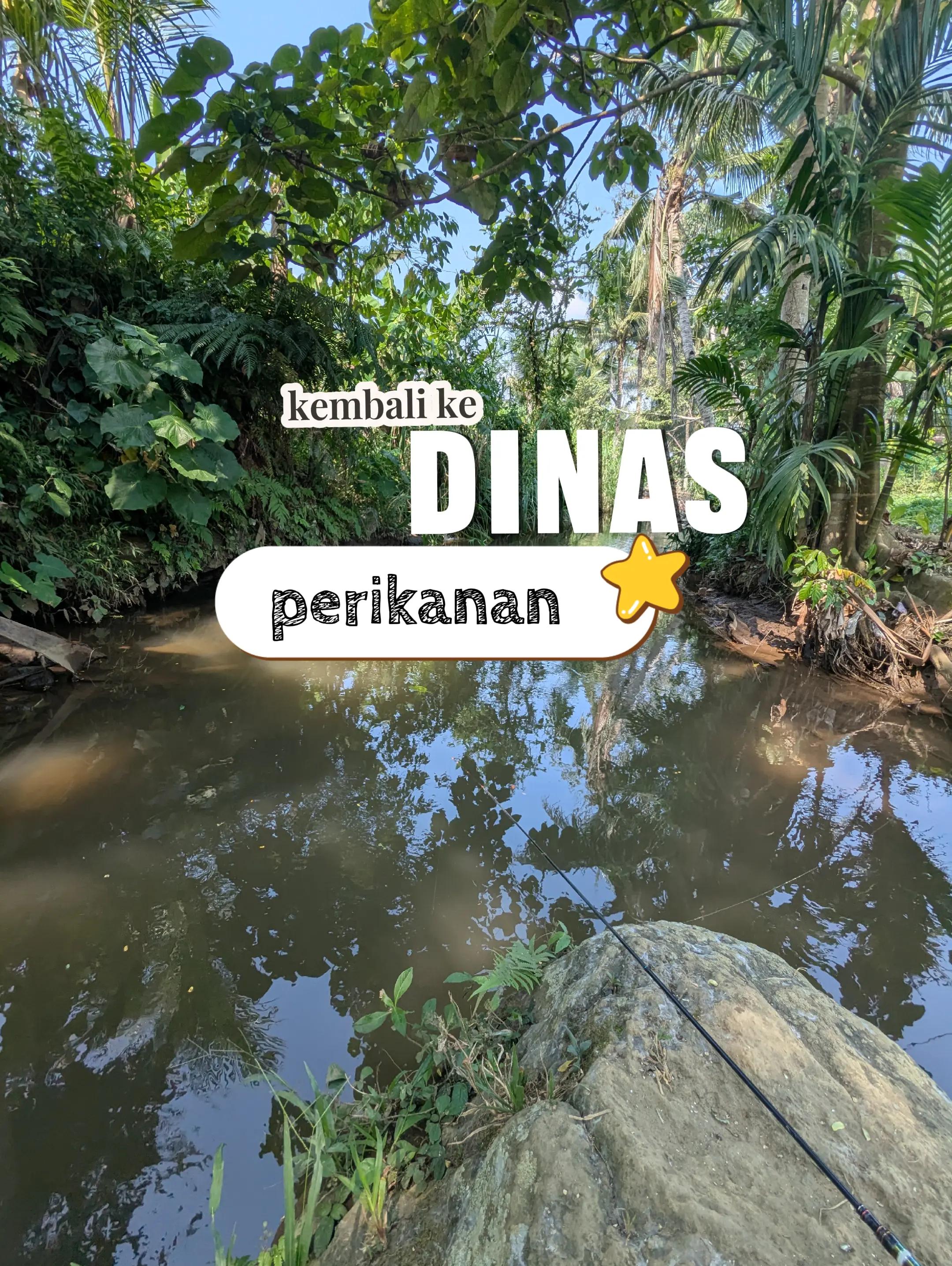 @Mancing Everyday
