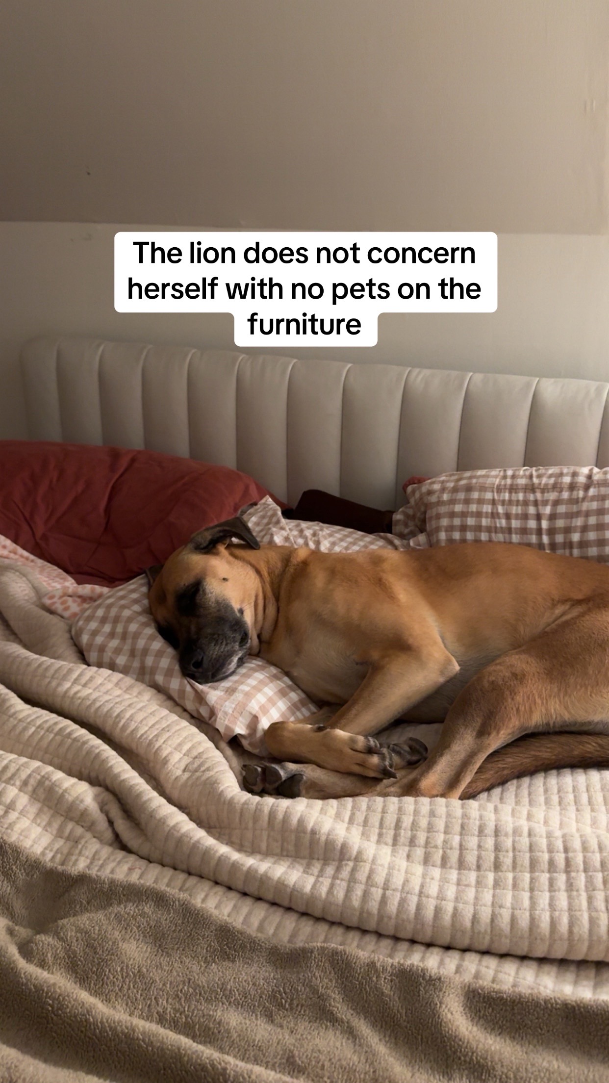 @Maggiemaytheshepherd