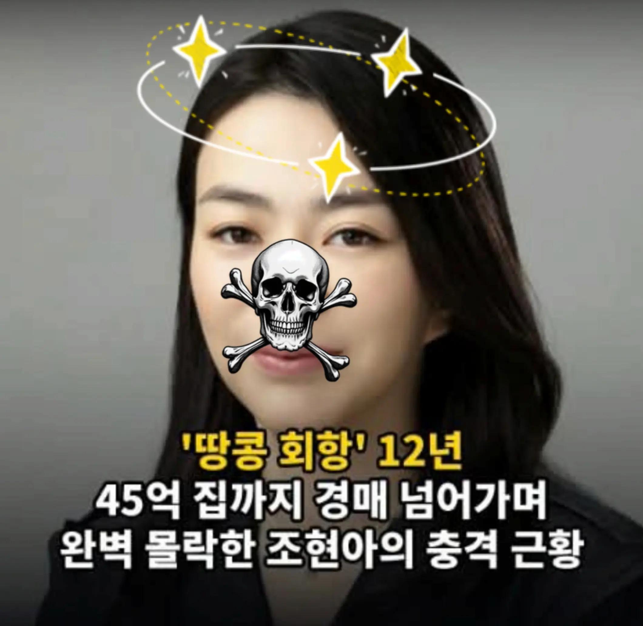 @🌺시라소니[본]🌺