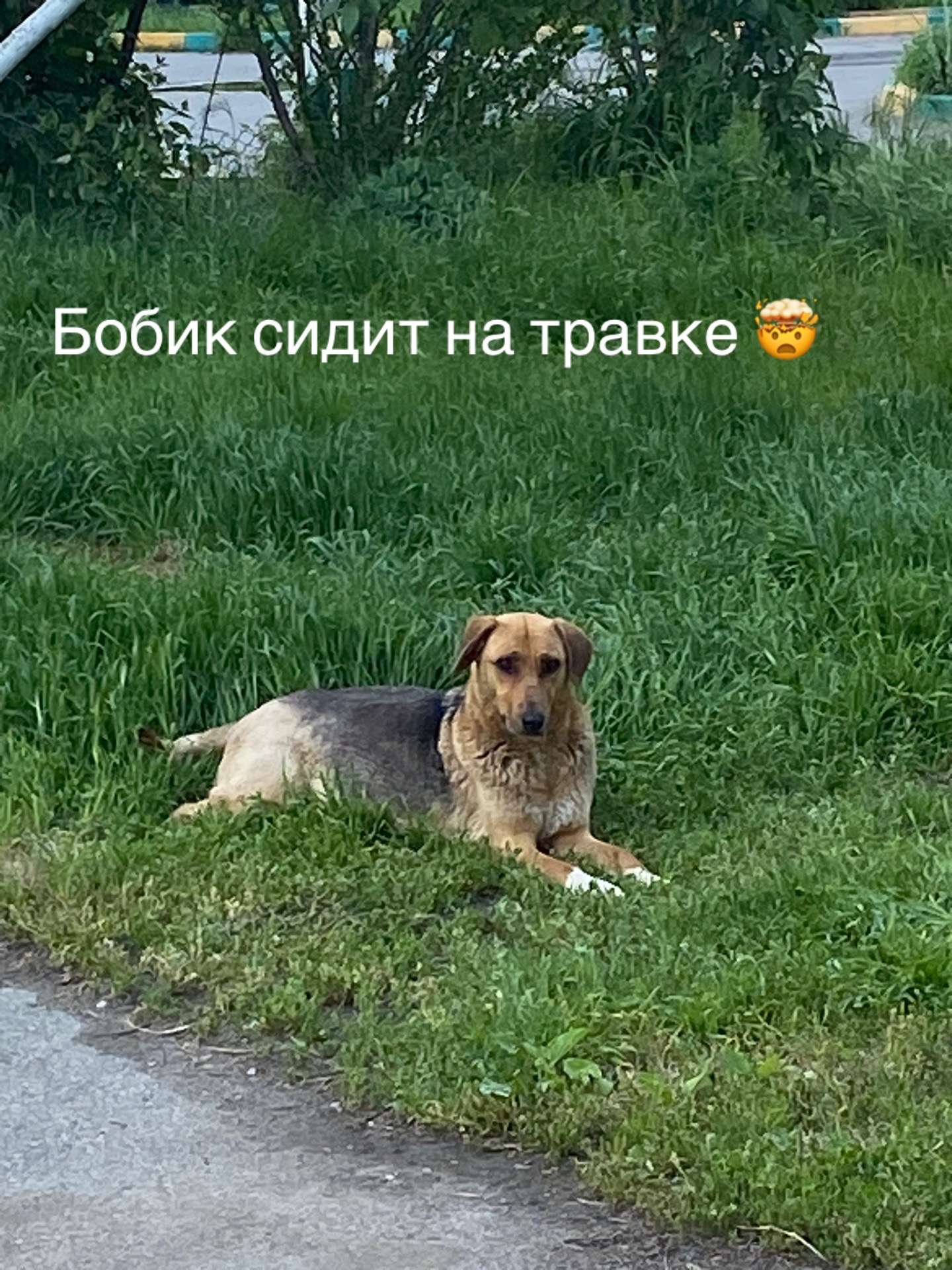 @Sssgg