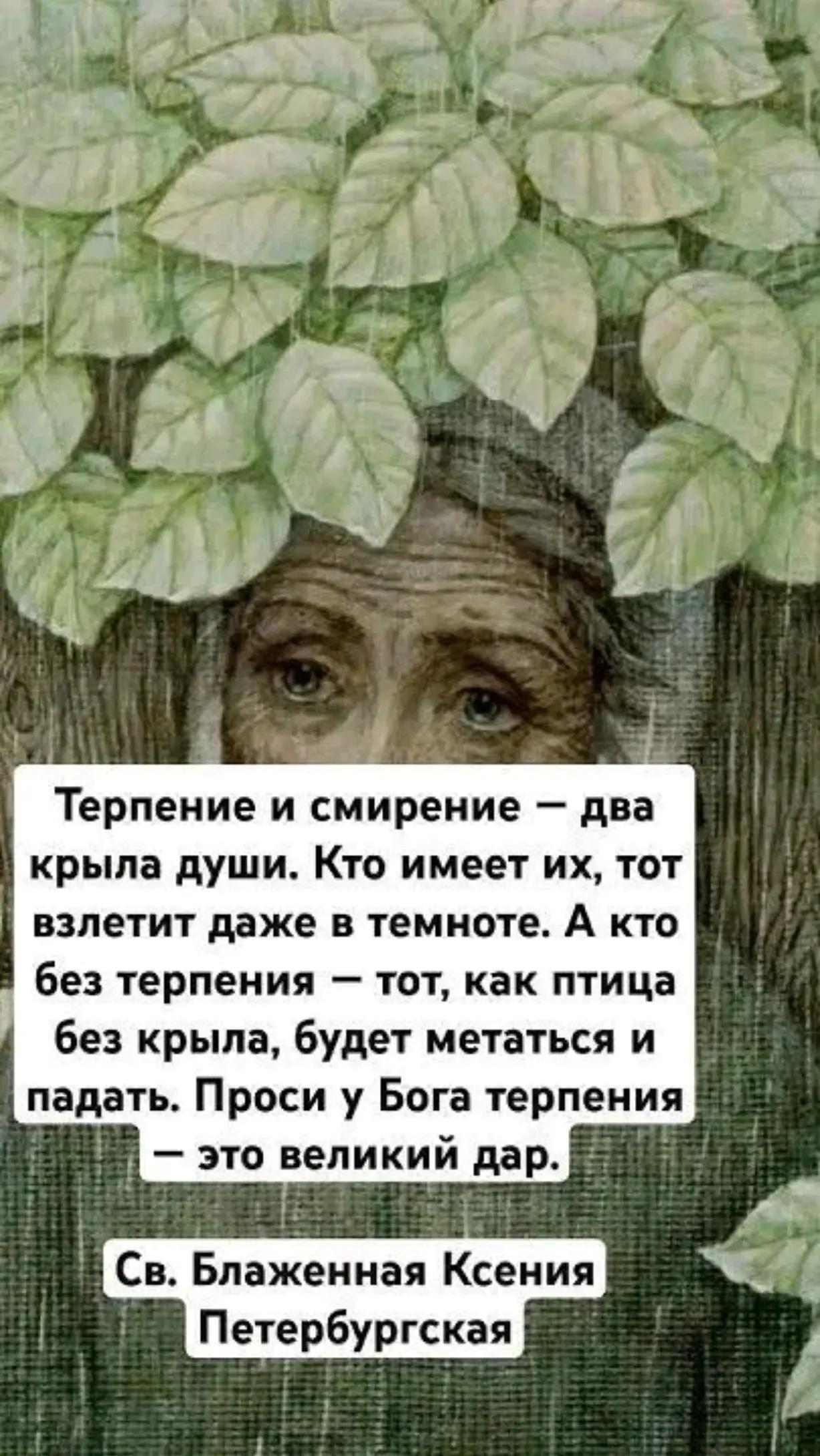 @user6103751502842светлана