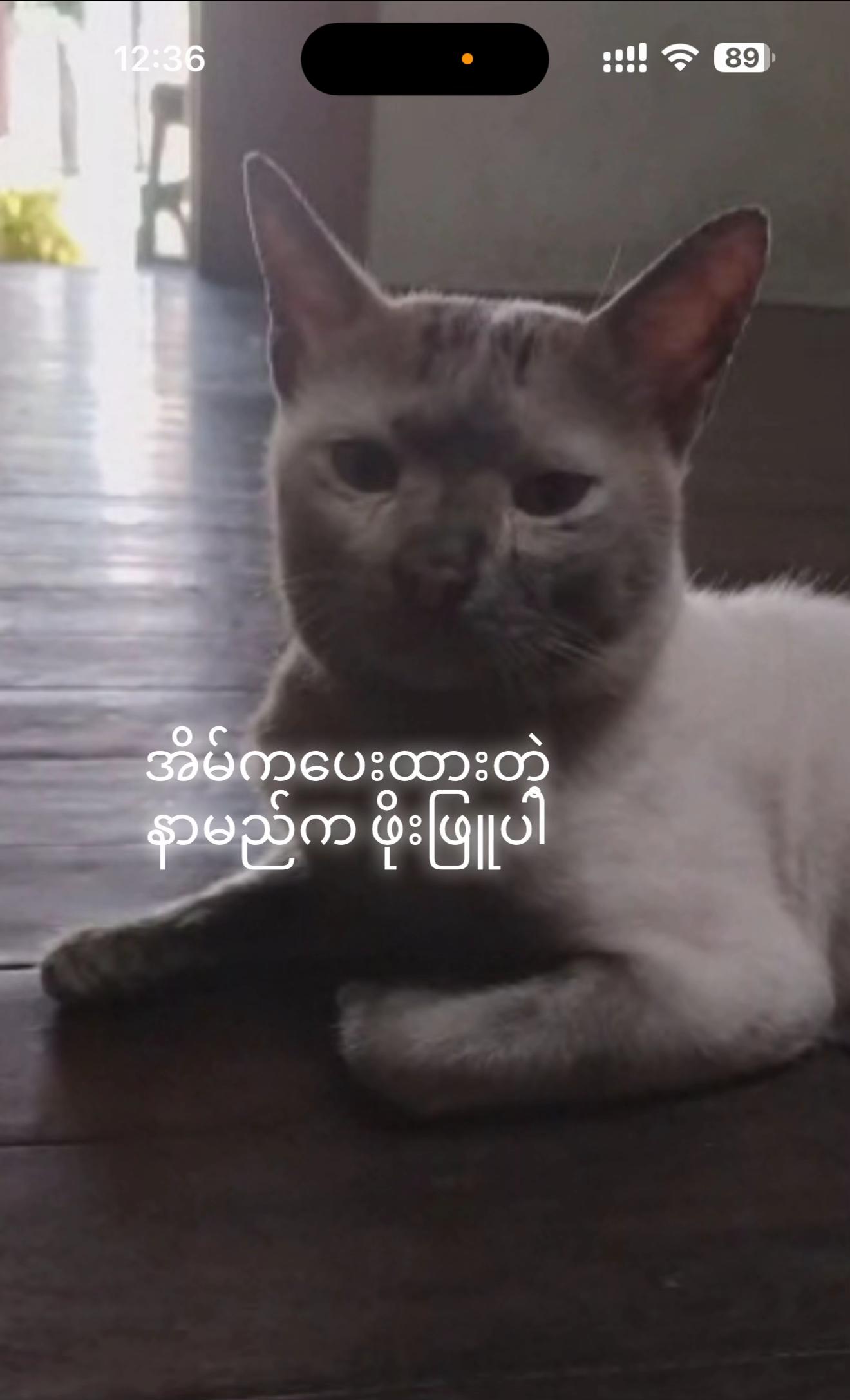 @Myo Zaw Lwin