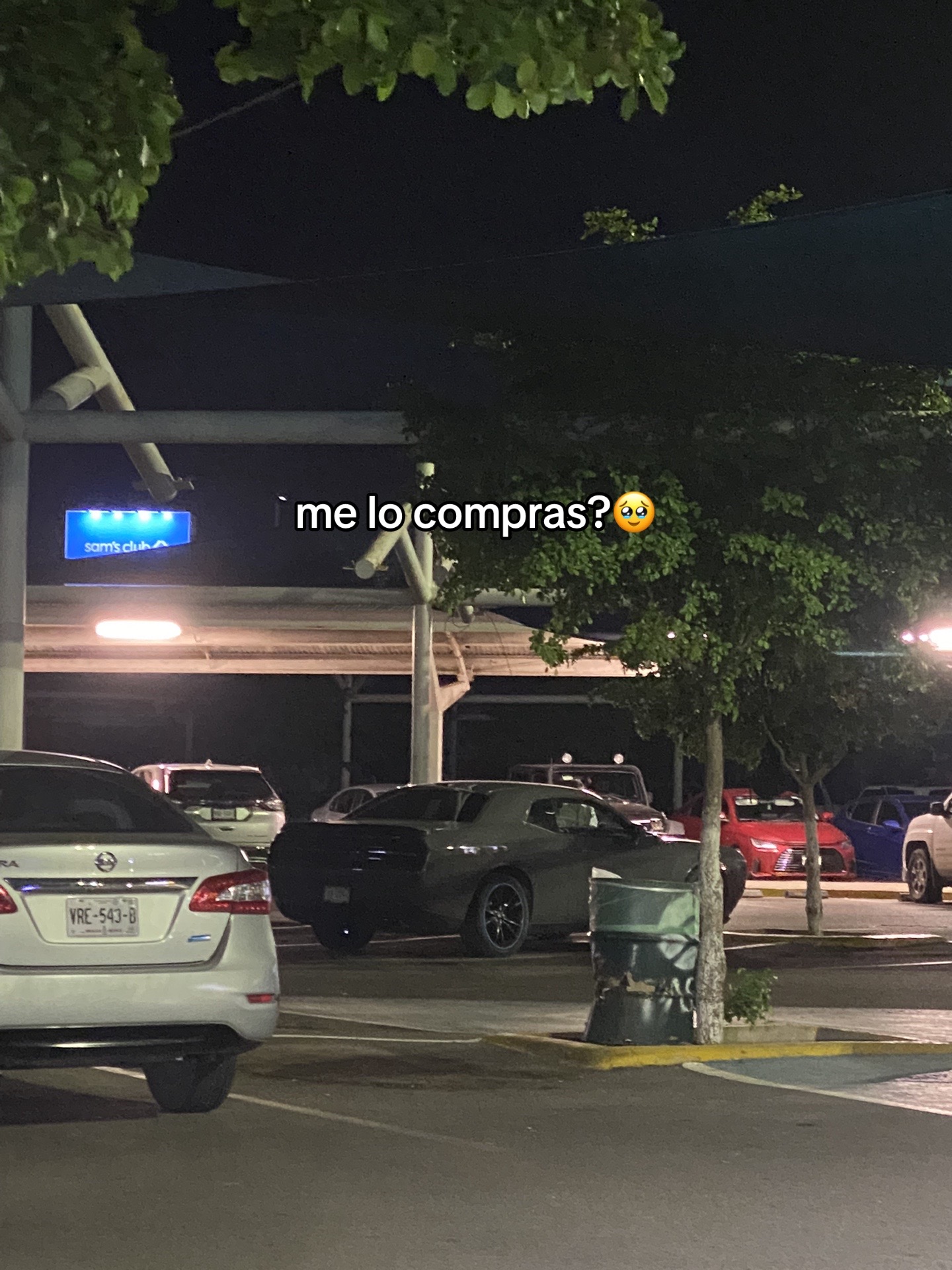 @sarita♡