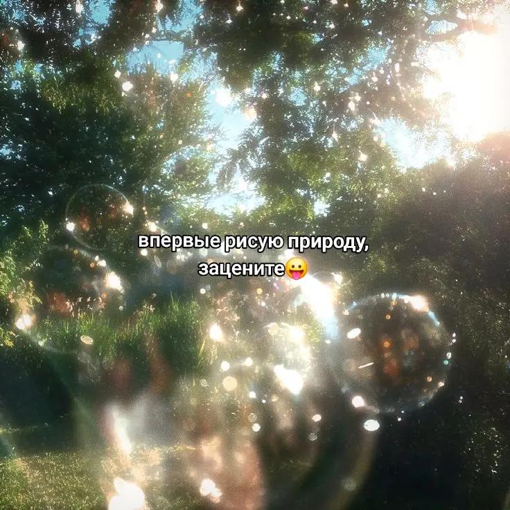 @ִ ࣪мага шурупъ₊˚