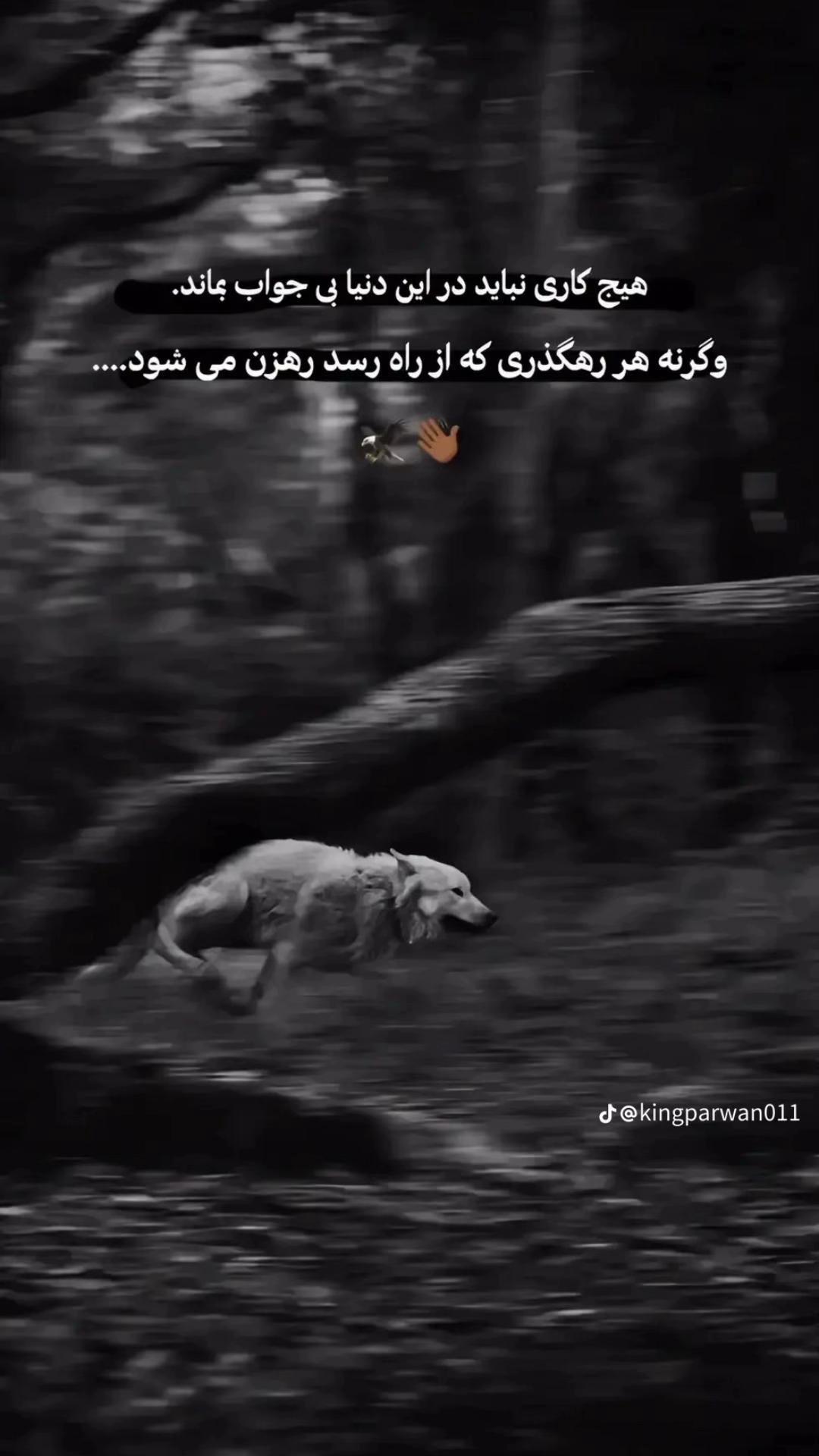 @꧁༆𝑆𝐢𝒍𝑒𝑛𝑐𝑒༆꧂