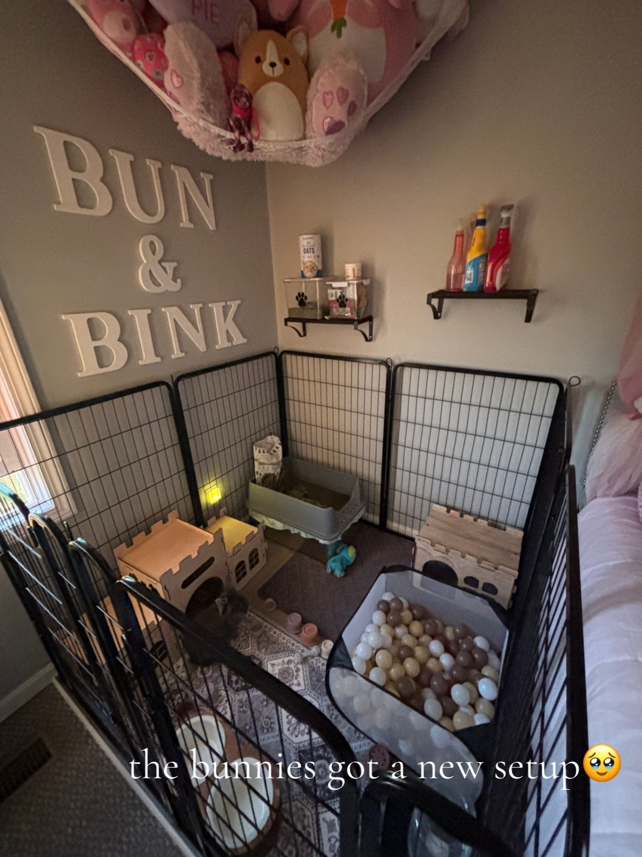 @bunbun & binky